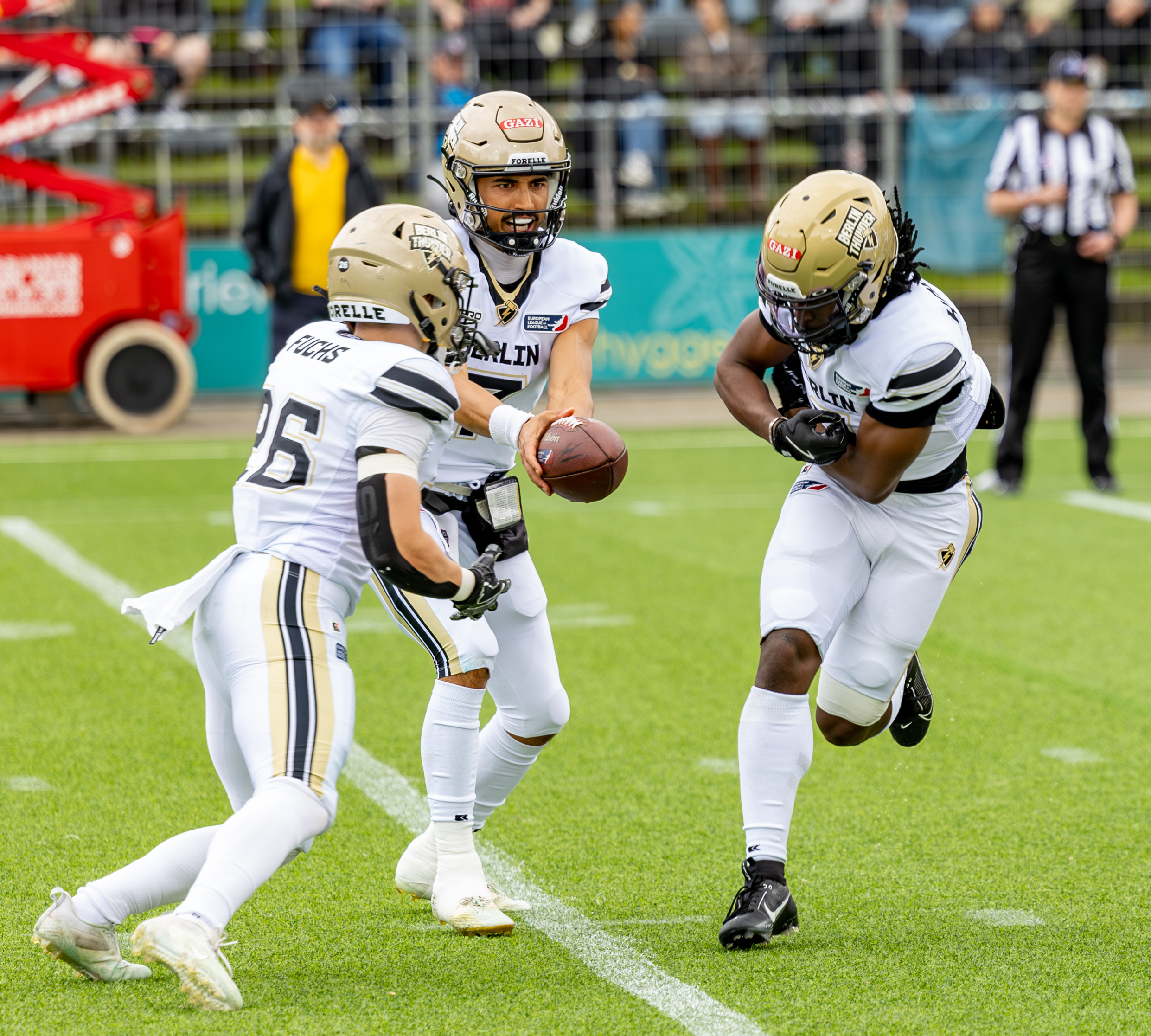 Berlin Thunder vs Hamburg Sea Devils