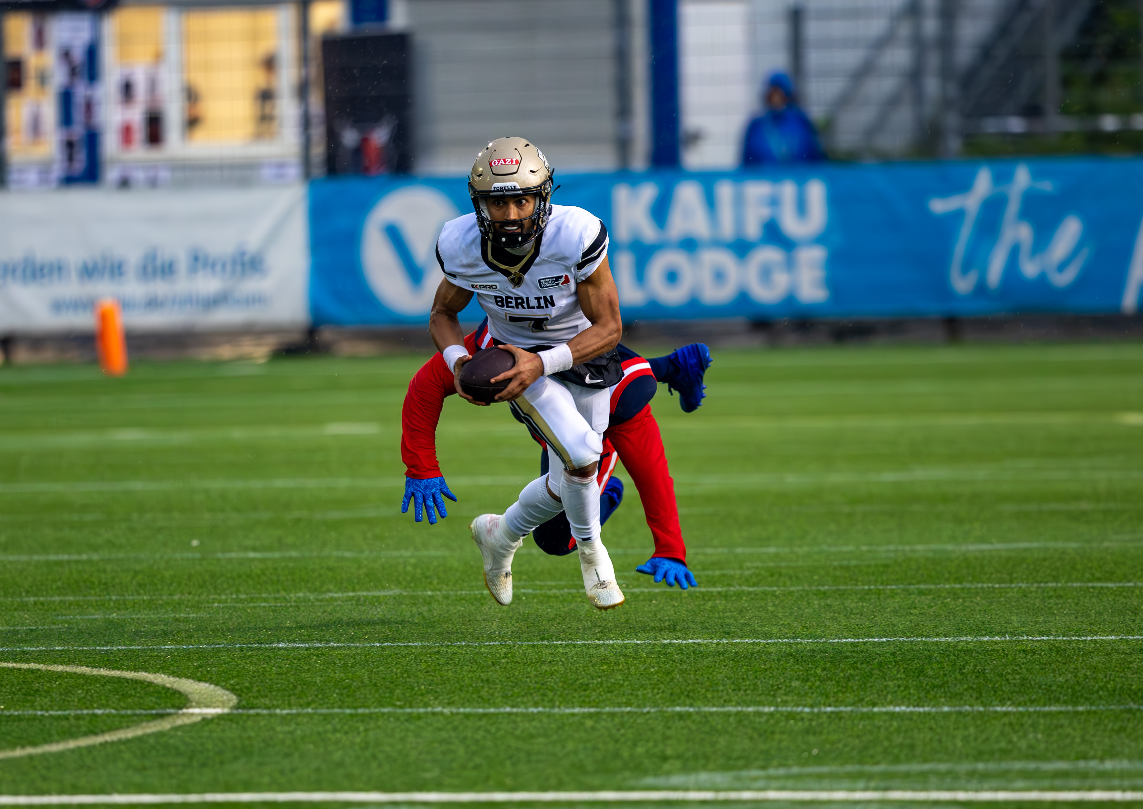 Berlin Thunder vs Hamburg Sea Devils