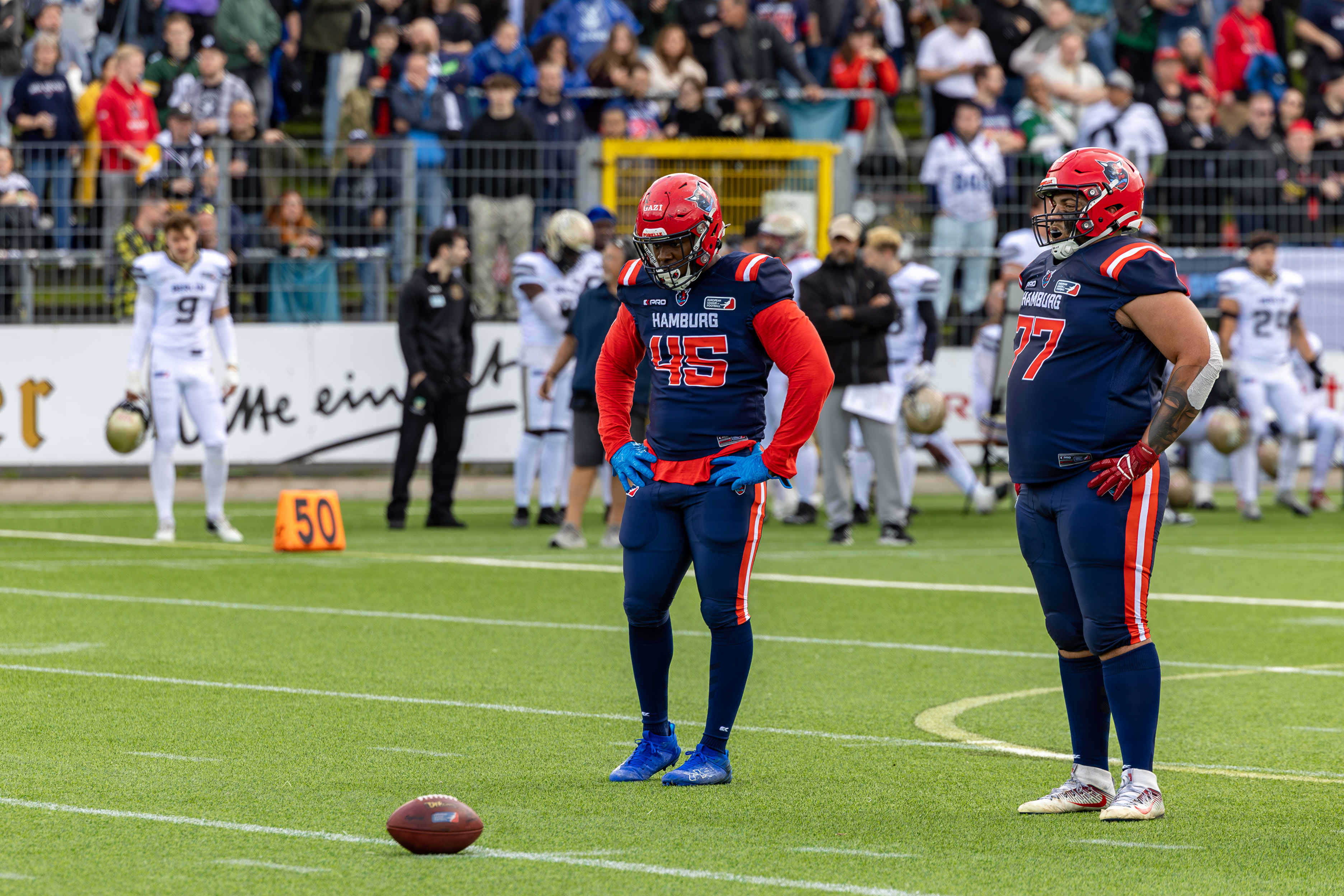 Berlin Thunder vs Hamburg Sea Devils