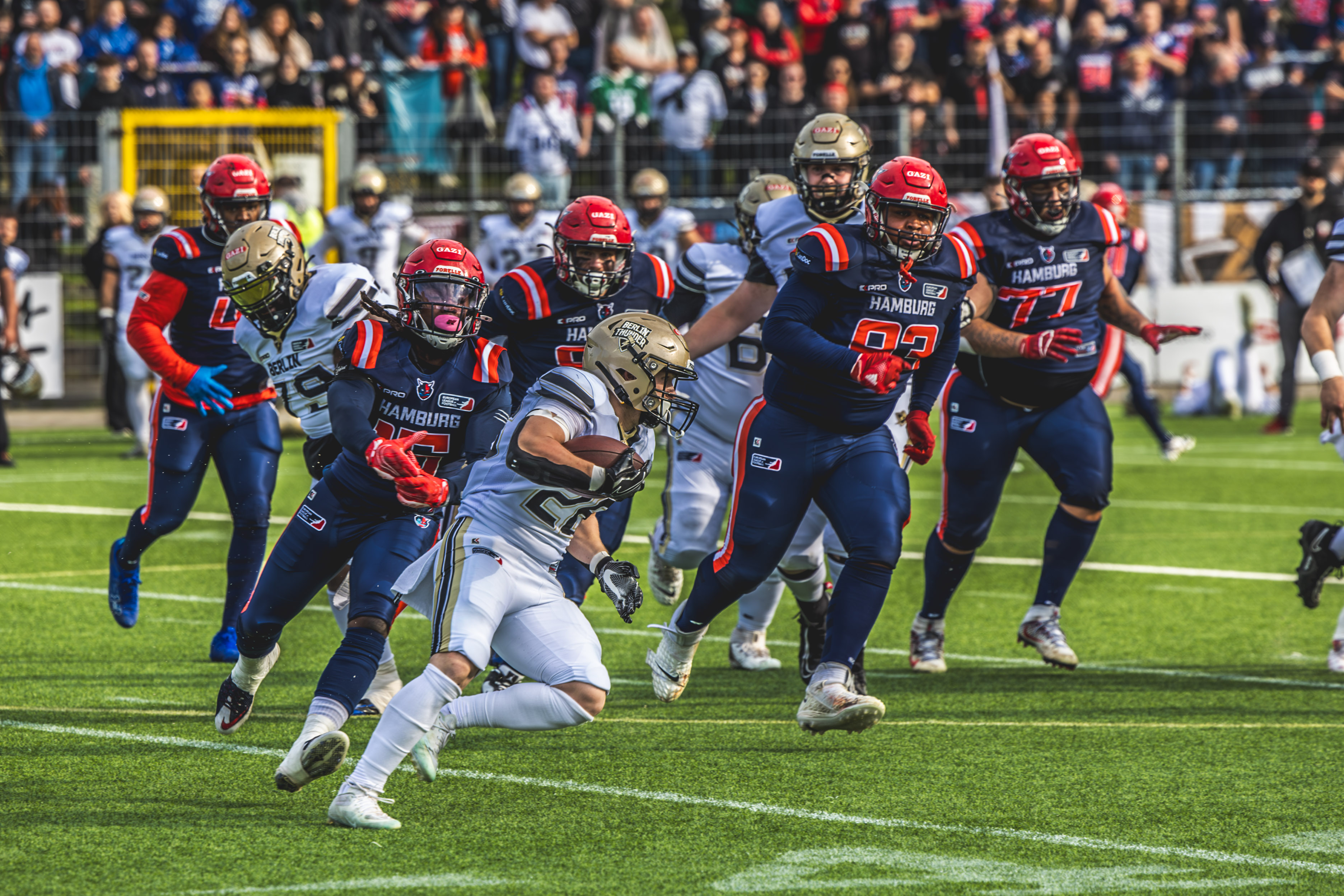 Berlin Thunder vs Hamburg Sea Devils