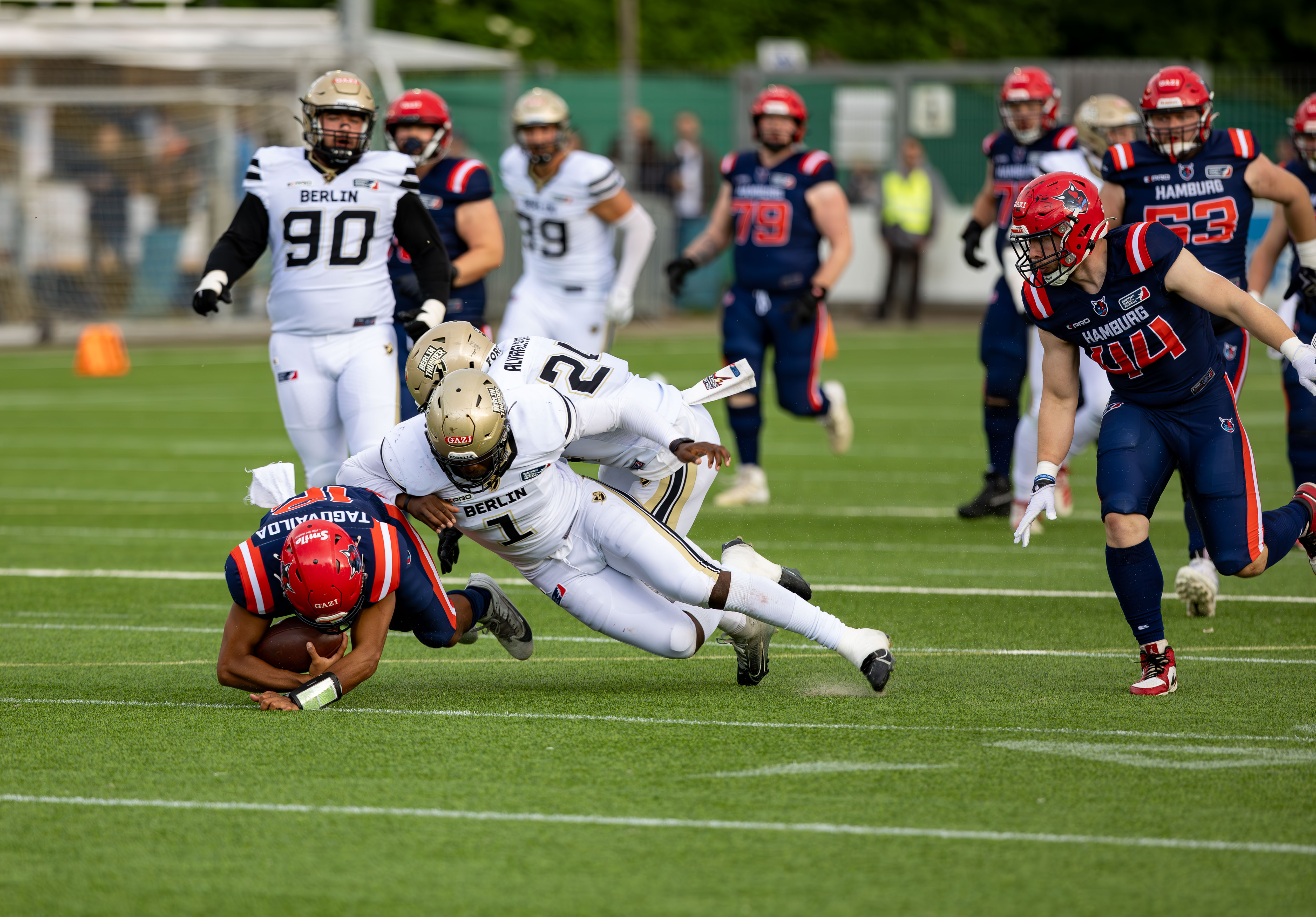 Berlin Thunder vs Hamburg Sea Devils