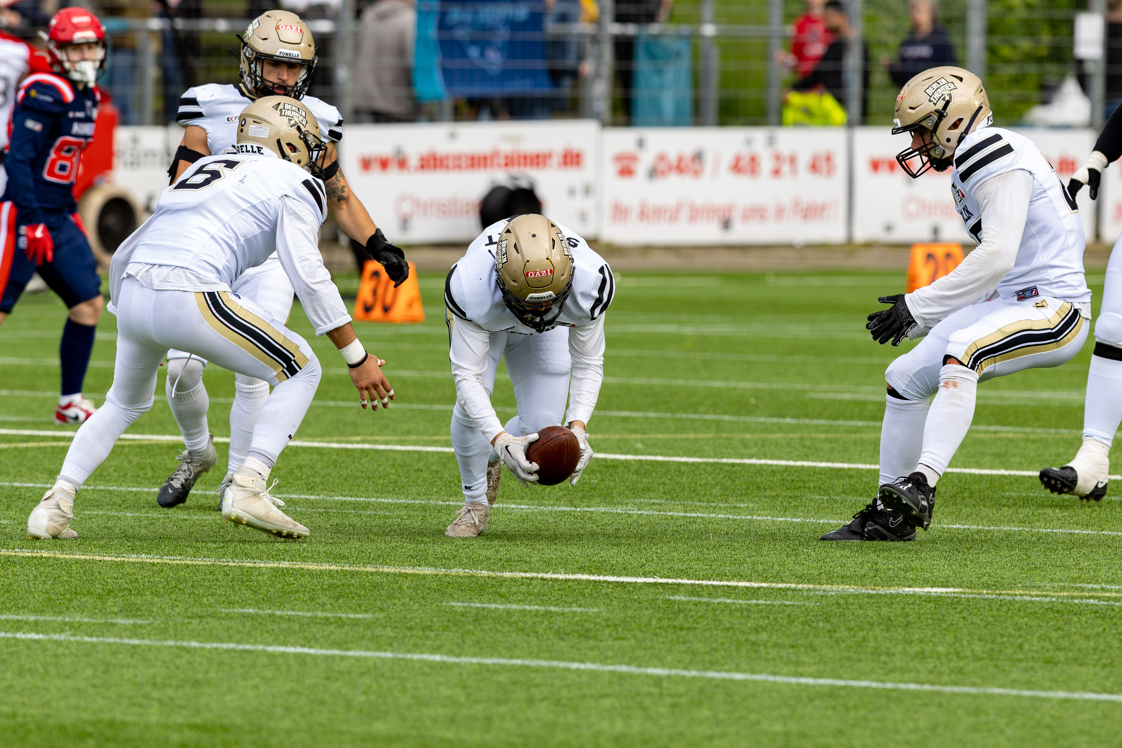 Berlin Thunder vs Hamburg Sea Devils