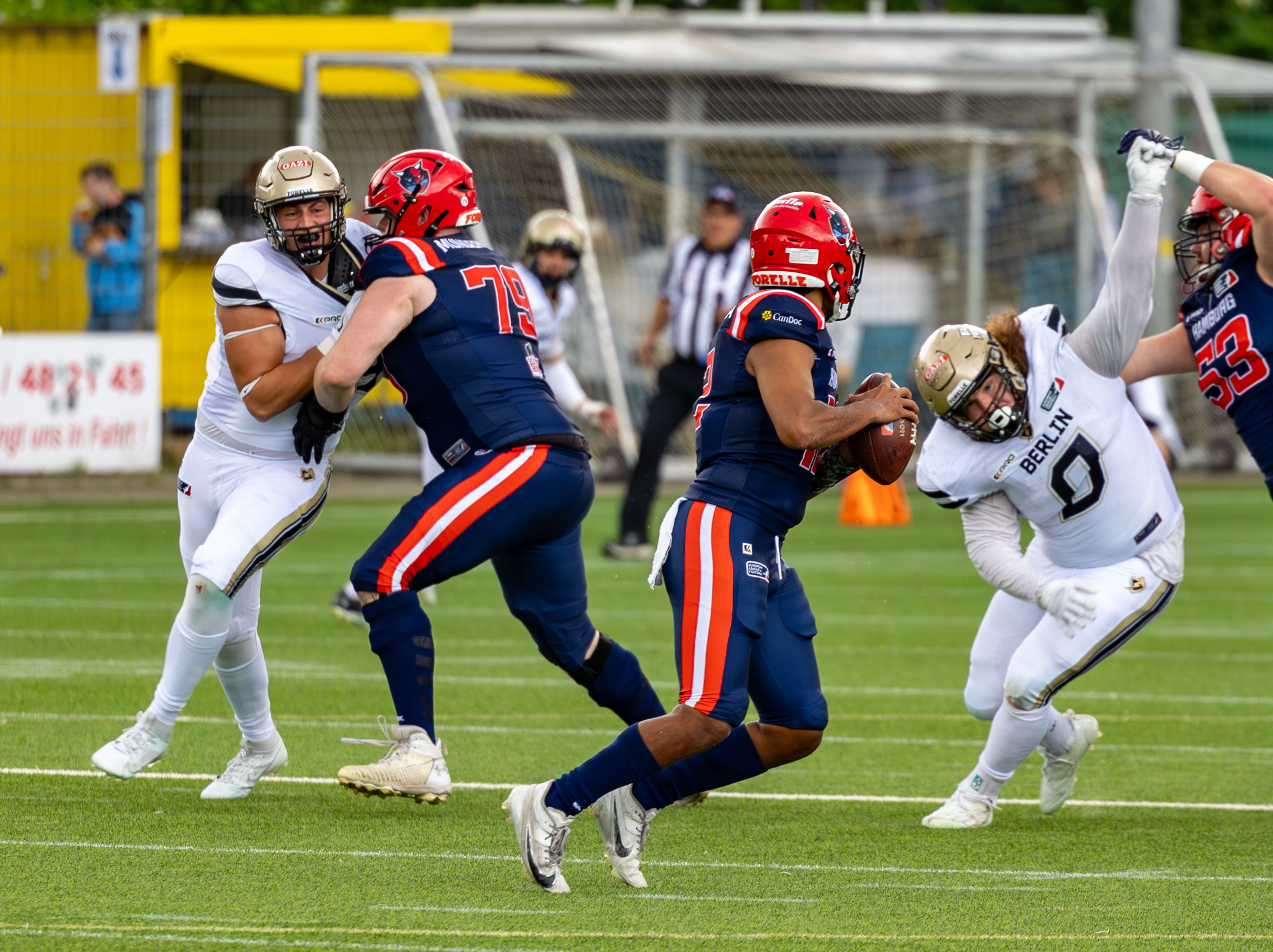 Berlin Thunder vs Hamburg Sea Devils