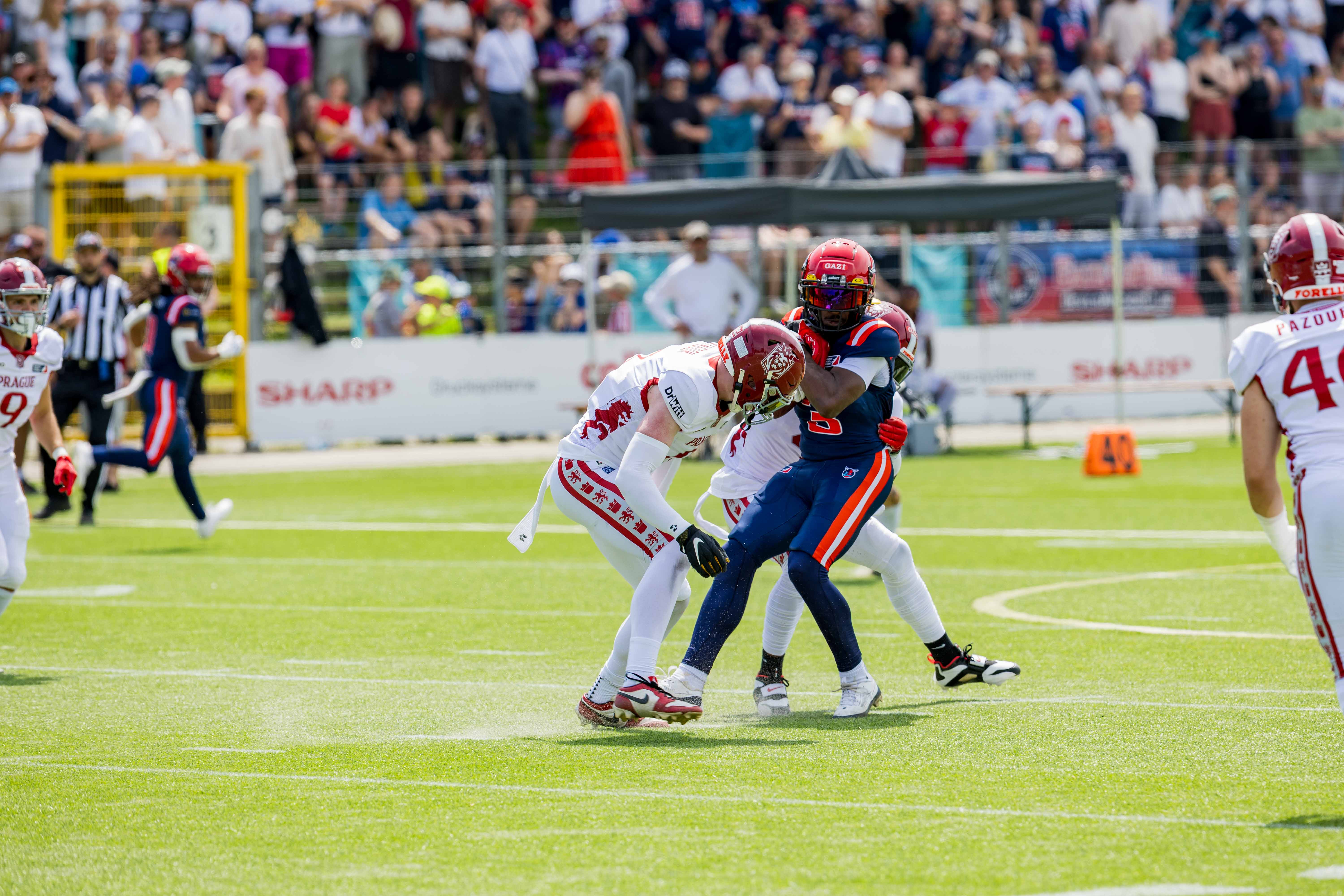 Prague Lions vs Hamburg Sea Devils