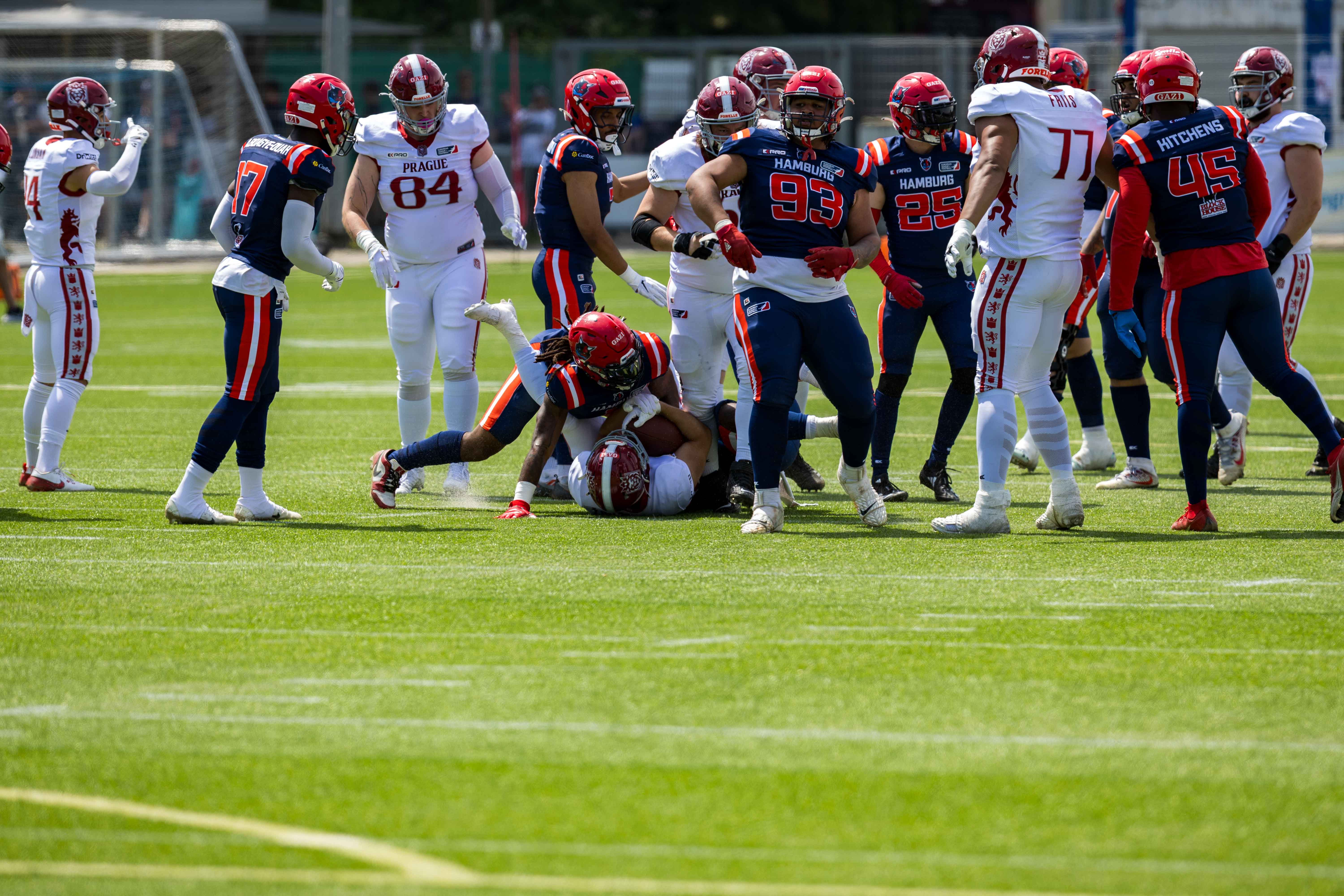 Prague Lions vs Hamburg Sea Devils