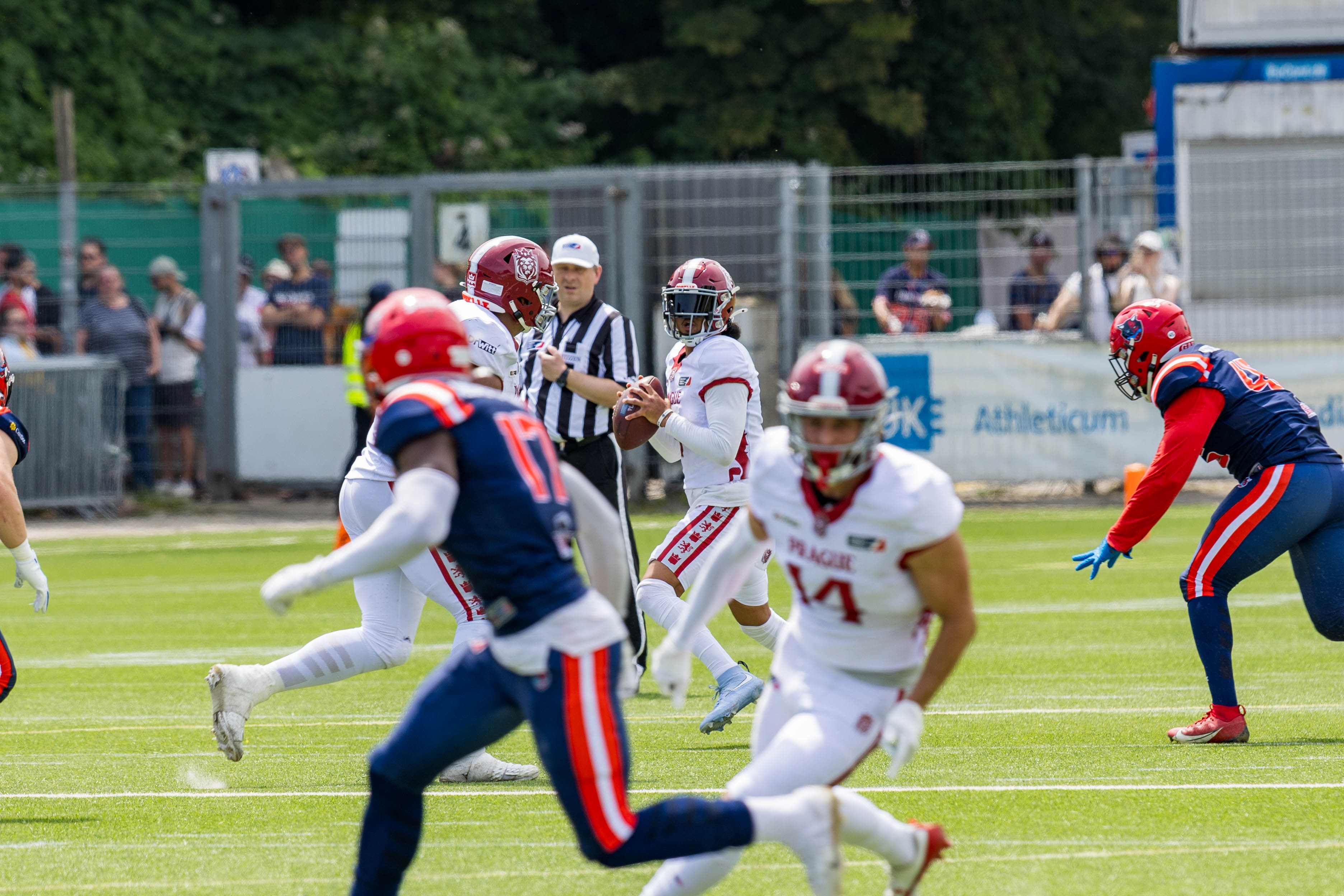 Prague Lions vs Hamburg Sea Devils