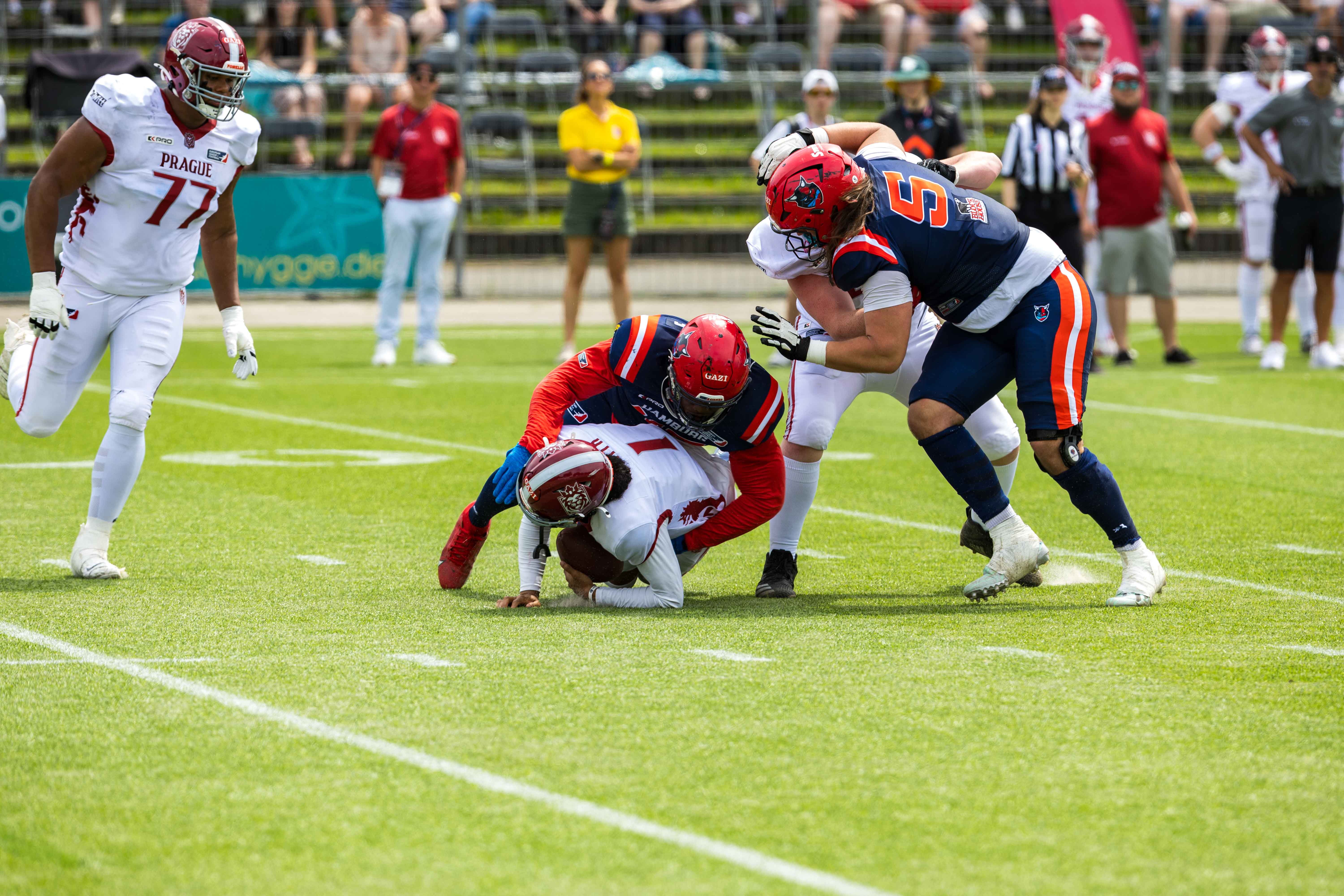 Prague Lions vs Hamburg Sea Devils