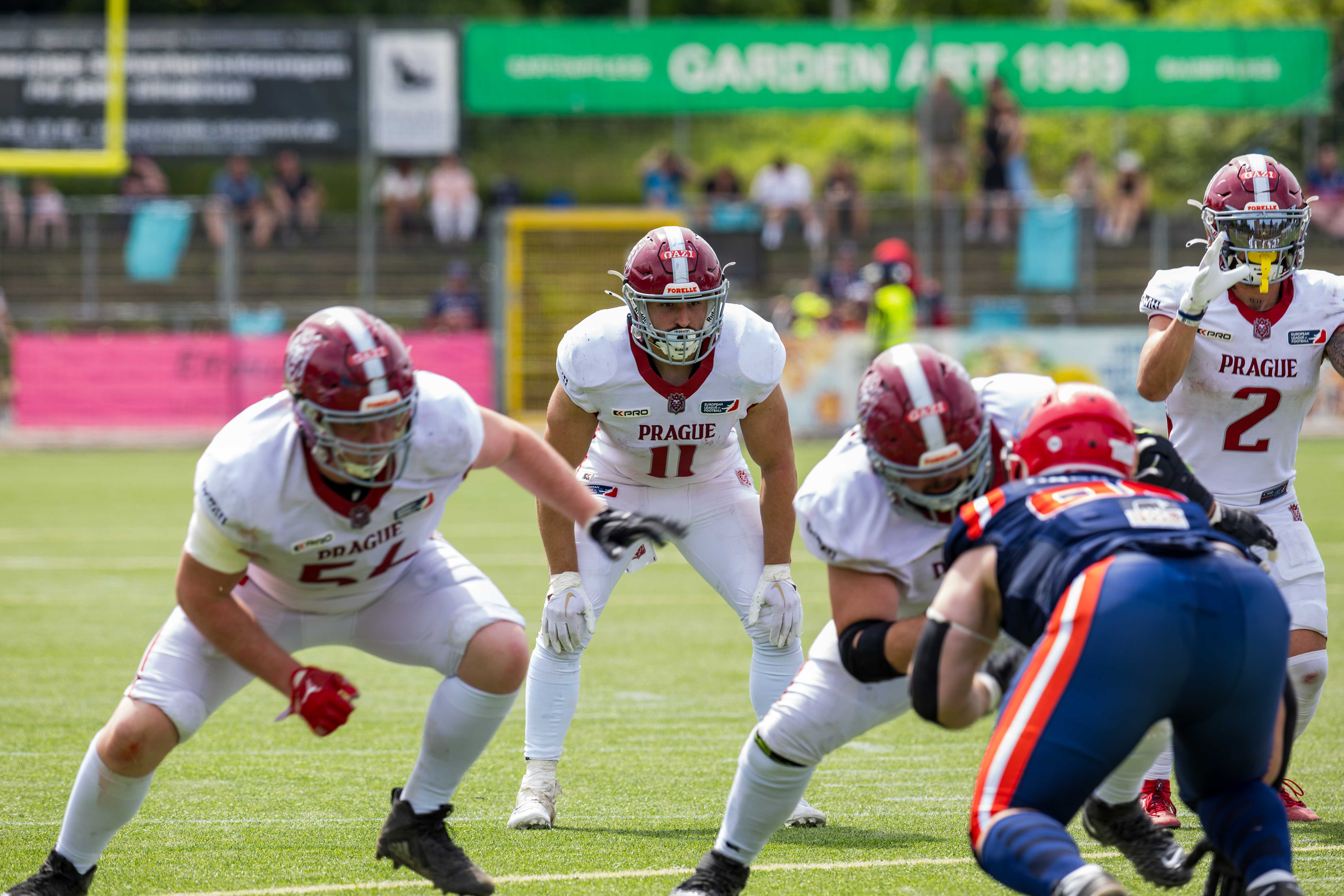 Prague Lions vs Hamburg Sea Devils