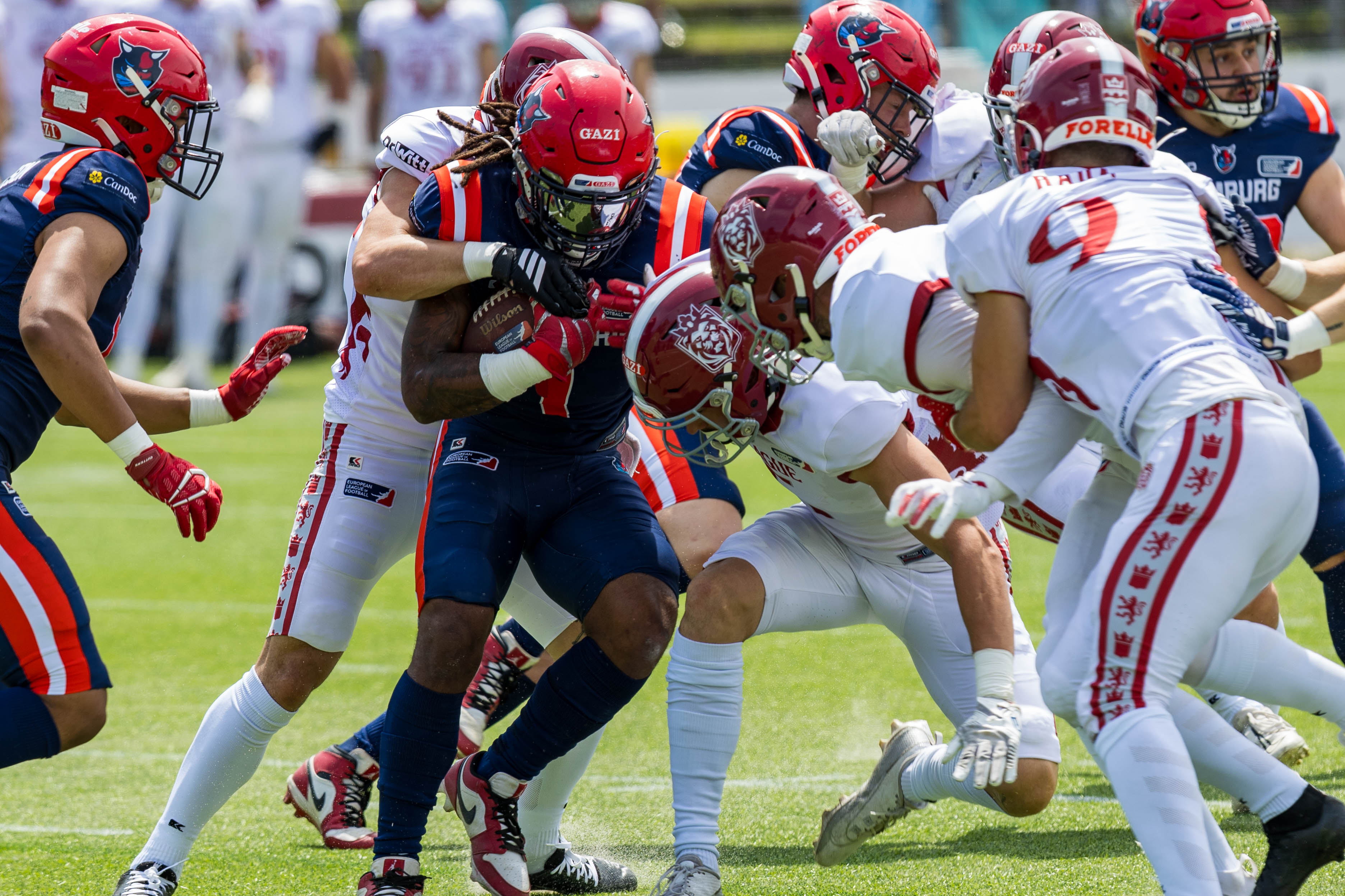 Prague Lions vs Hamburg Sea Devils