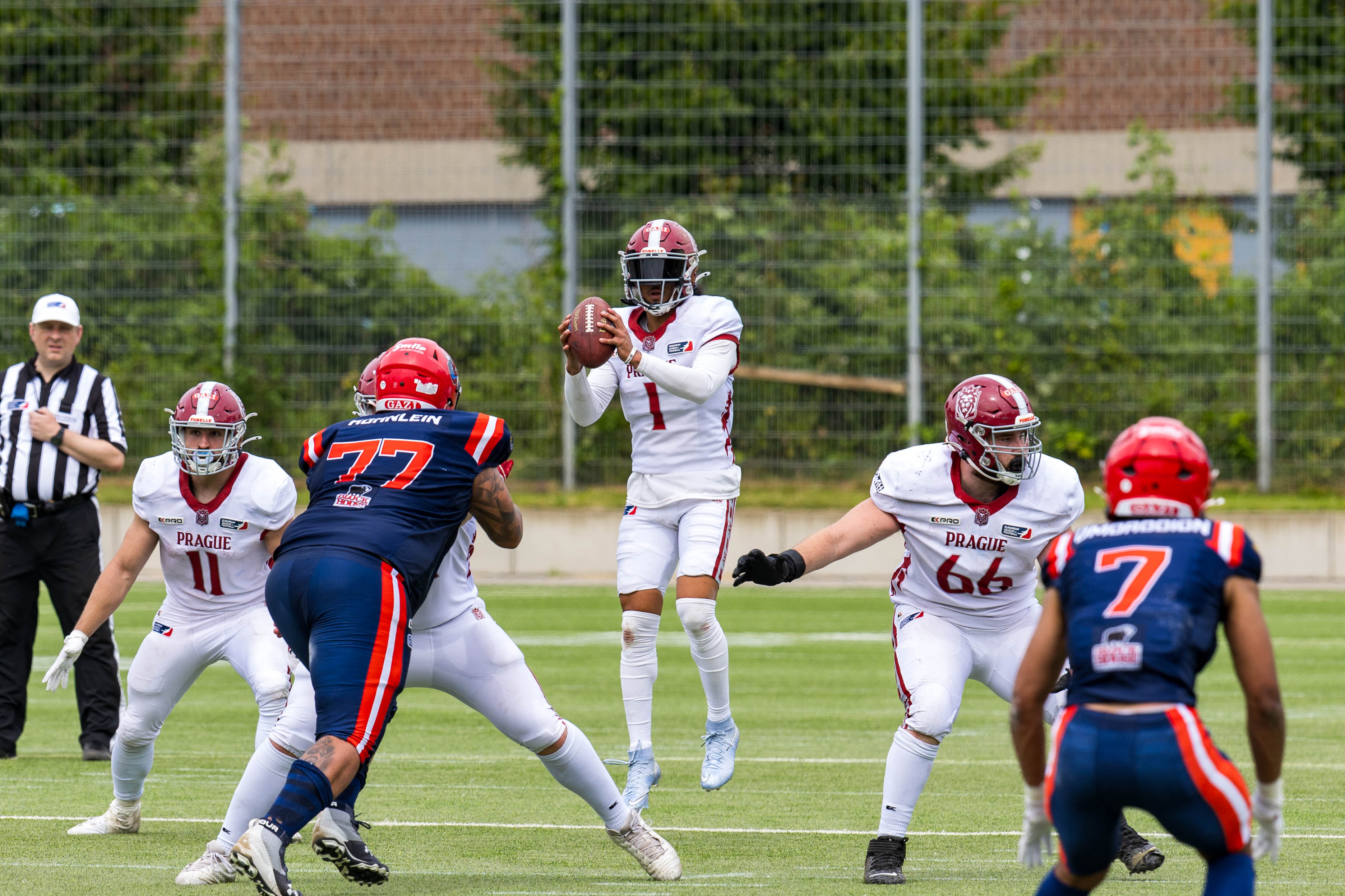Prague Lions vs Hamburg Sea Devils