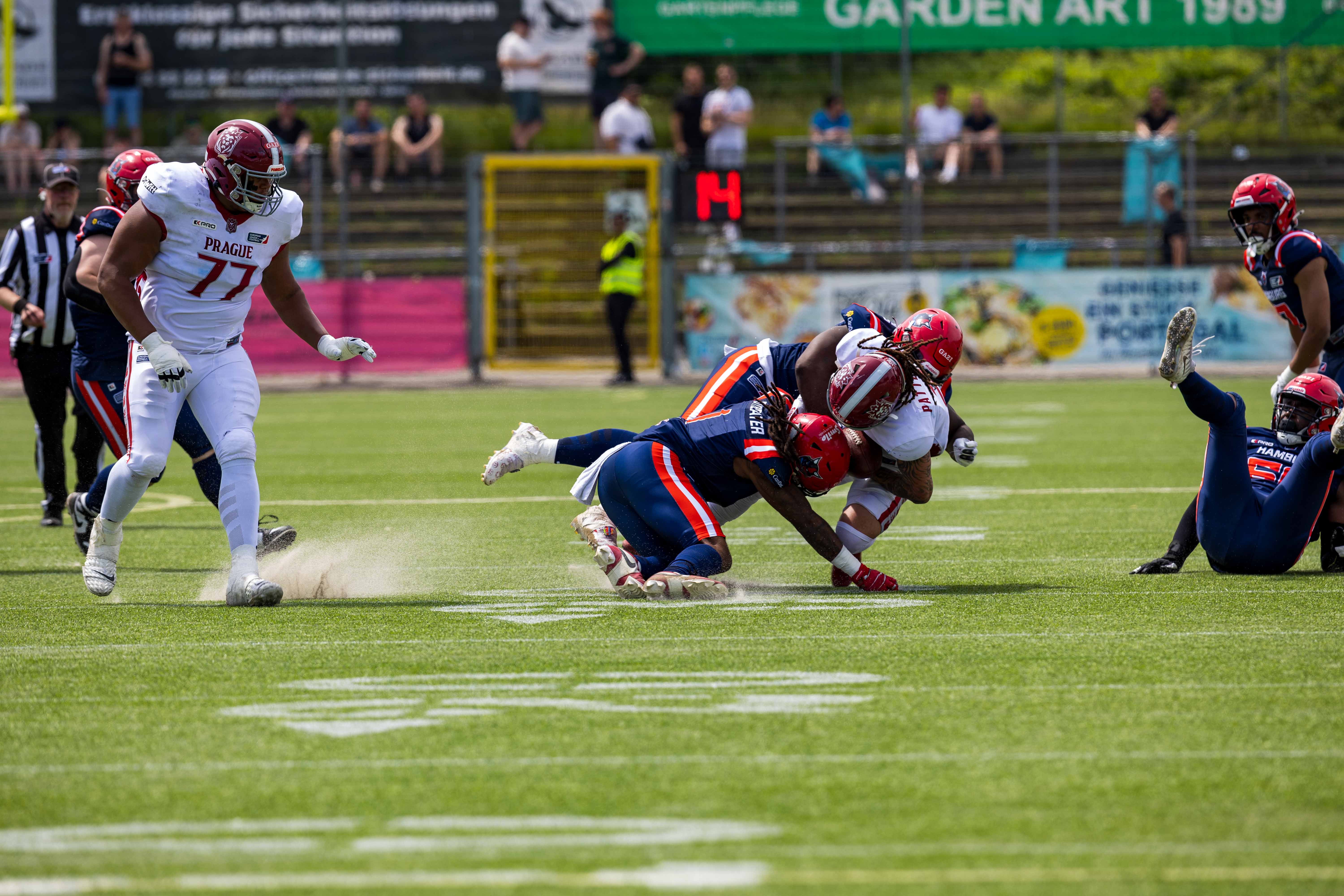 Prague Lions vs Hamburg Sea Devils