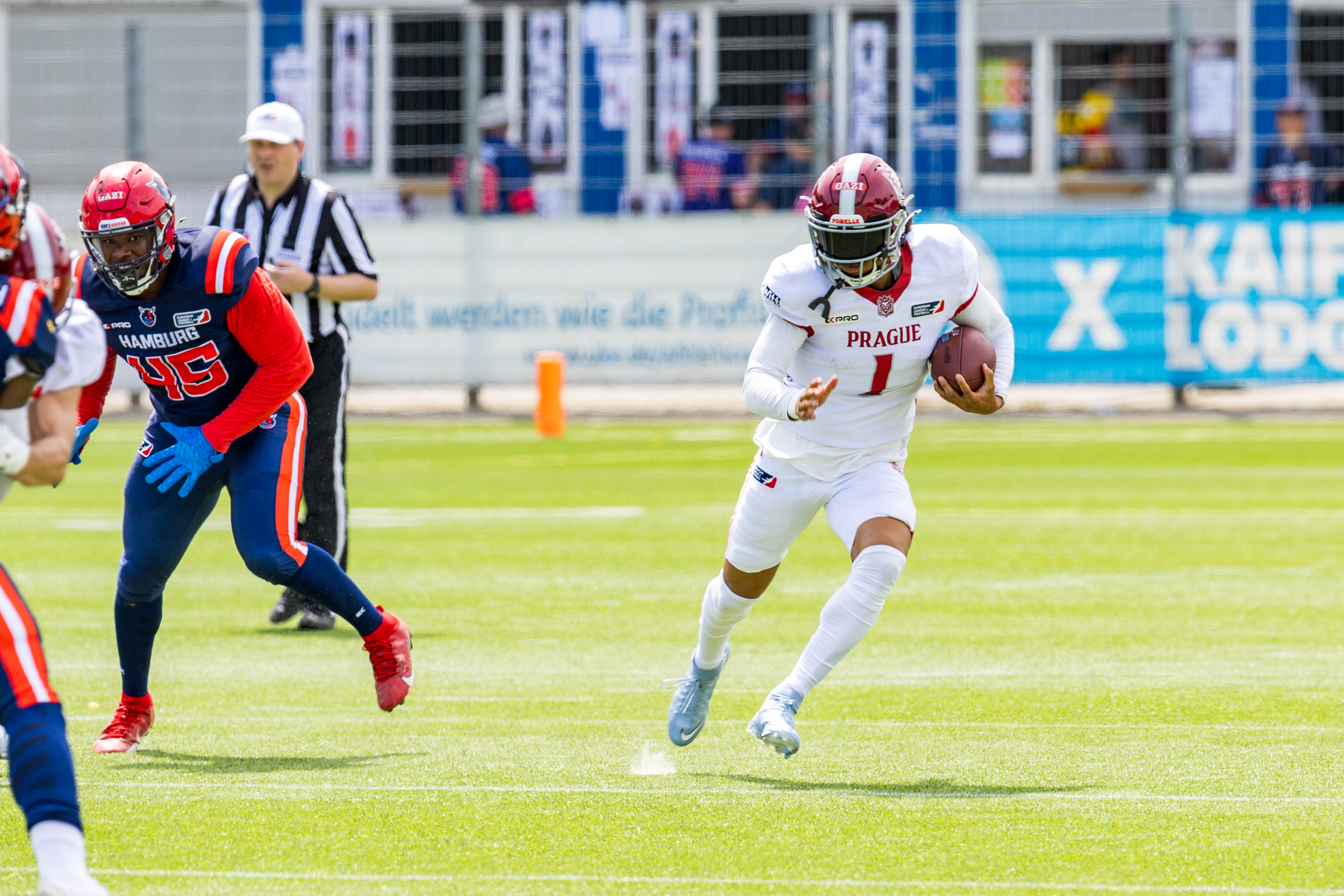 Prague Lions vs Hamburg Sea Devils