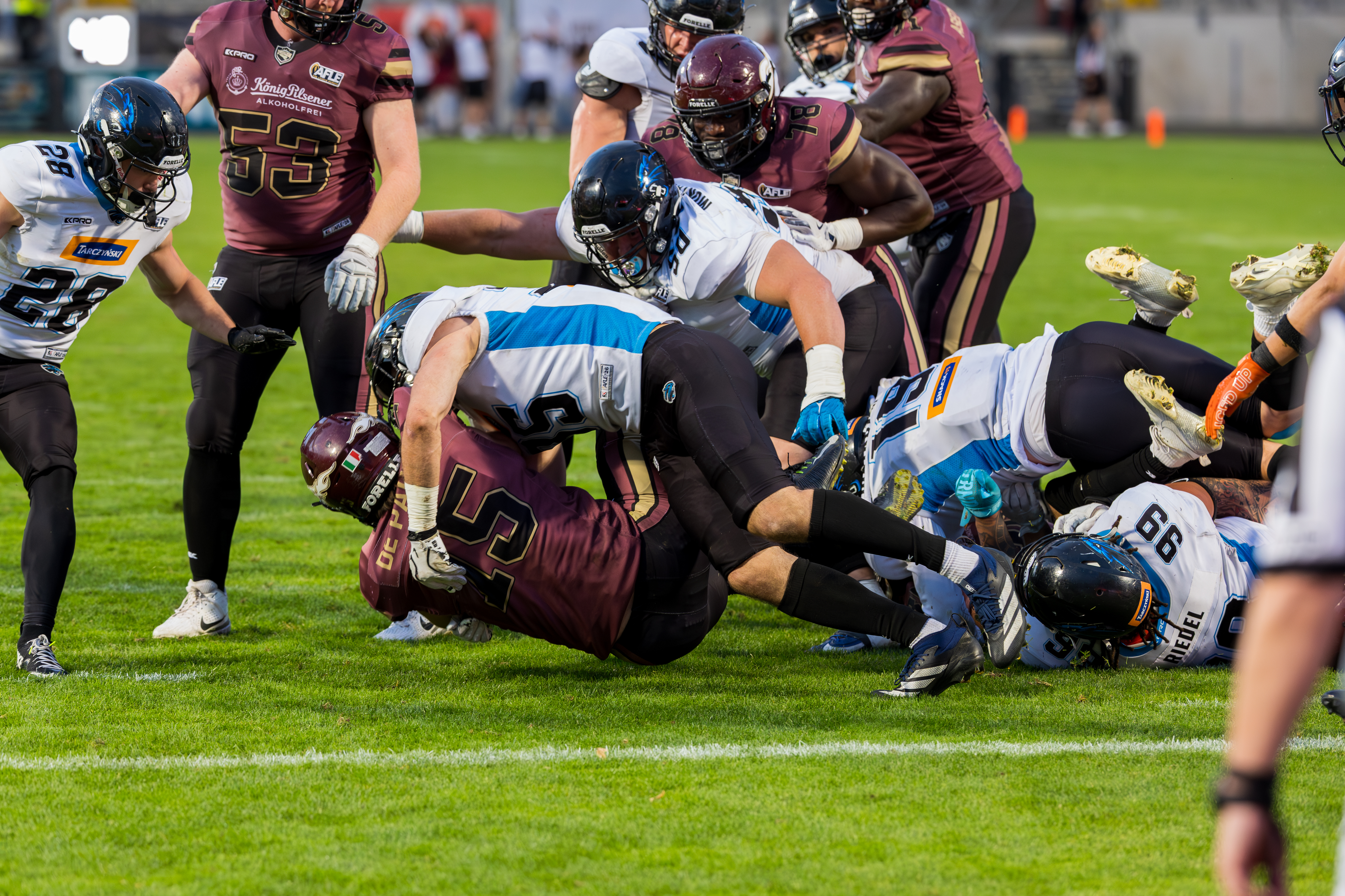 #25 Adam Lary (Cornerback) – Panthers Wroclaw tackle #15 Giacomo De Pauli (Running Back) – Rhein Fire