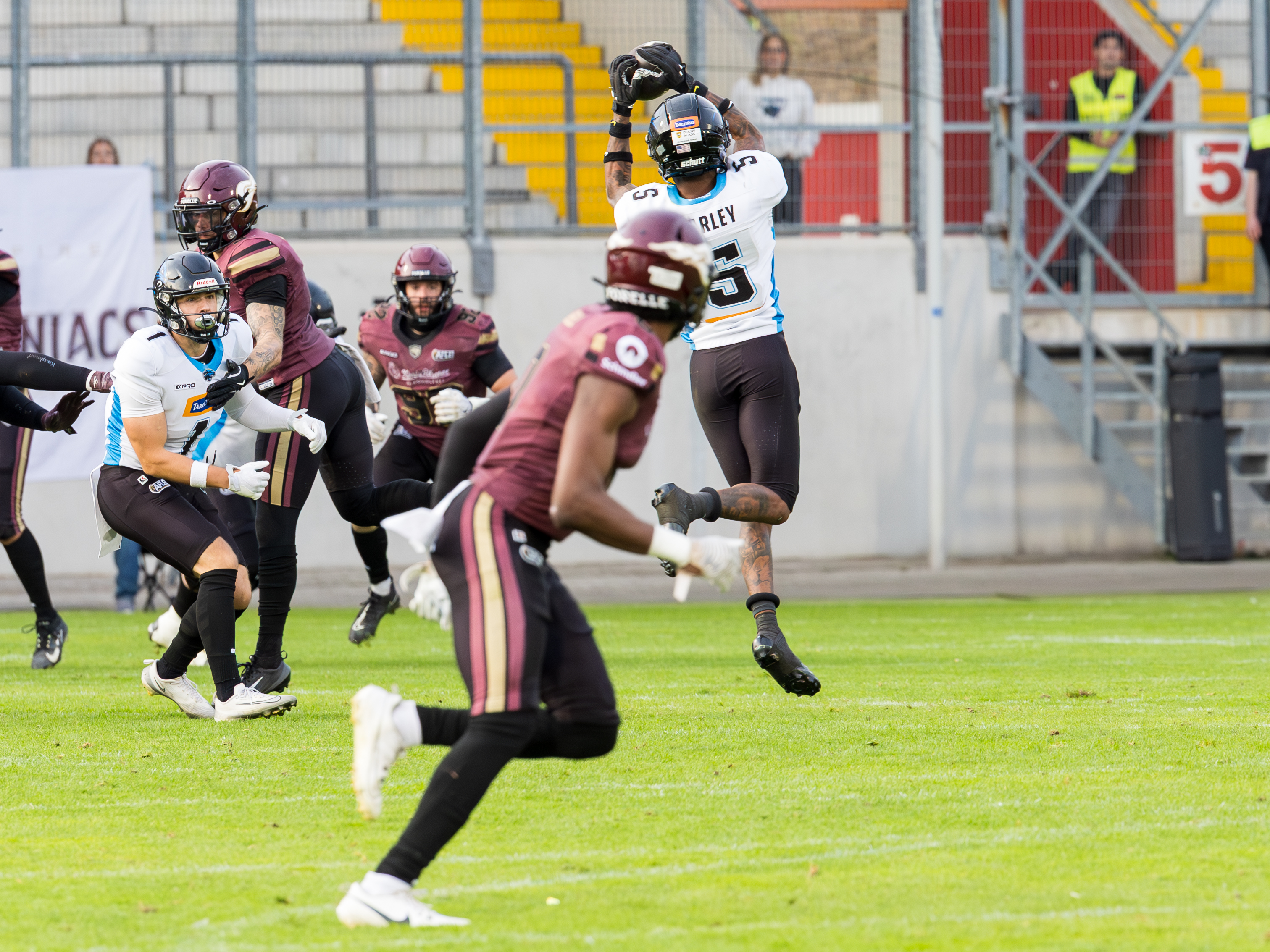 #5 Michael Harley Jr (Wide Receiver) – Panthers Wroclaw catch the ball in the air.