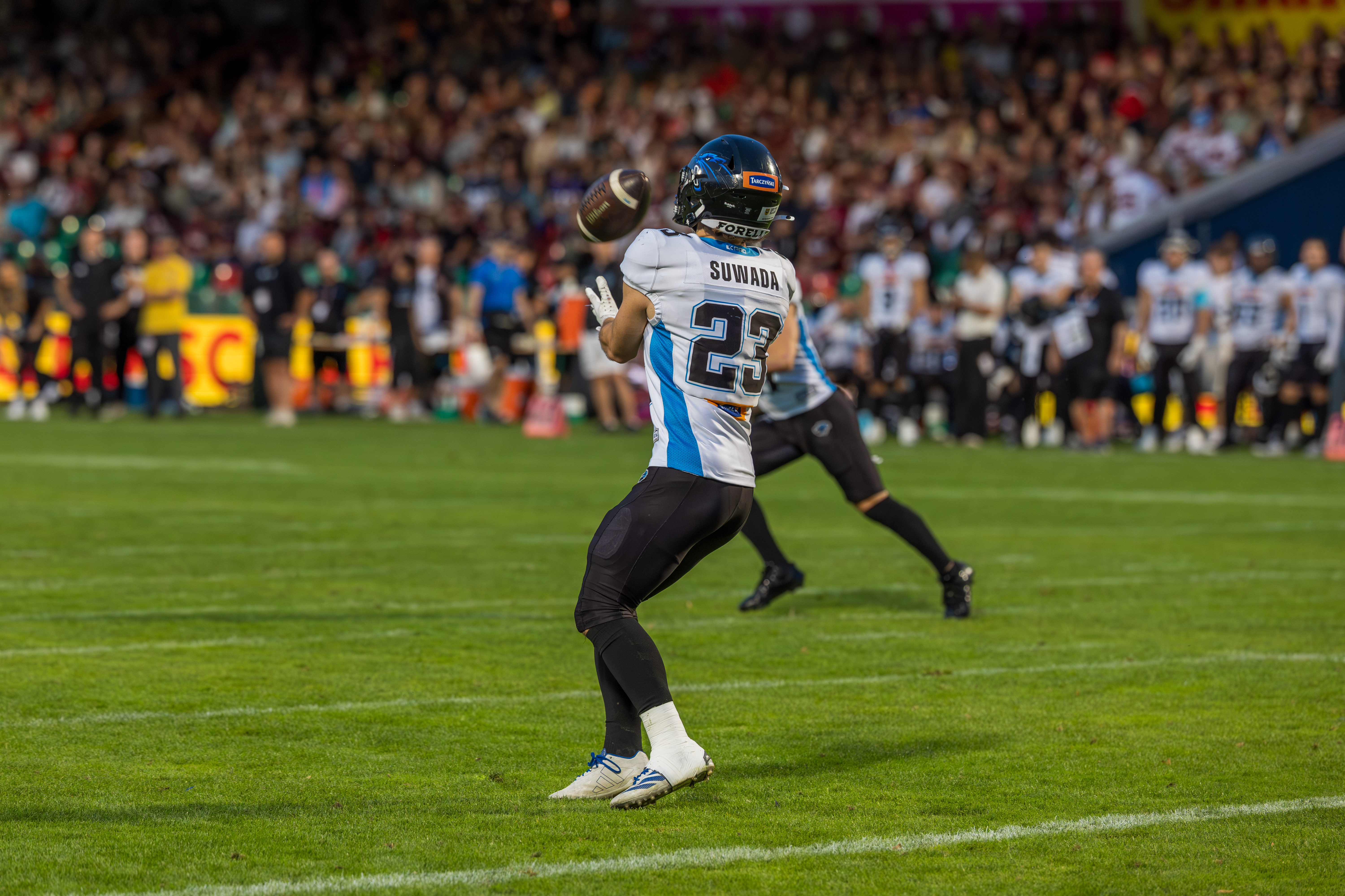 #23 Filip Suwada (Cornerback) – Panthers Wroclaw catch the ball.