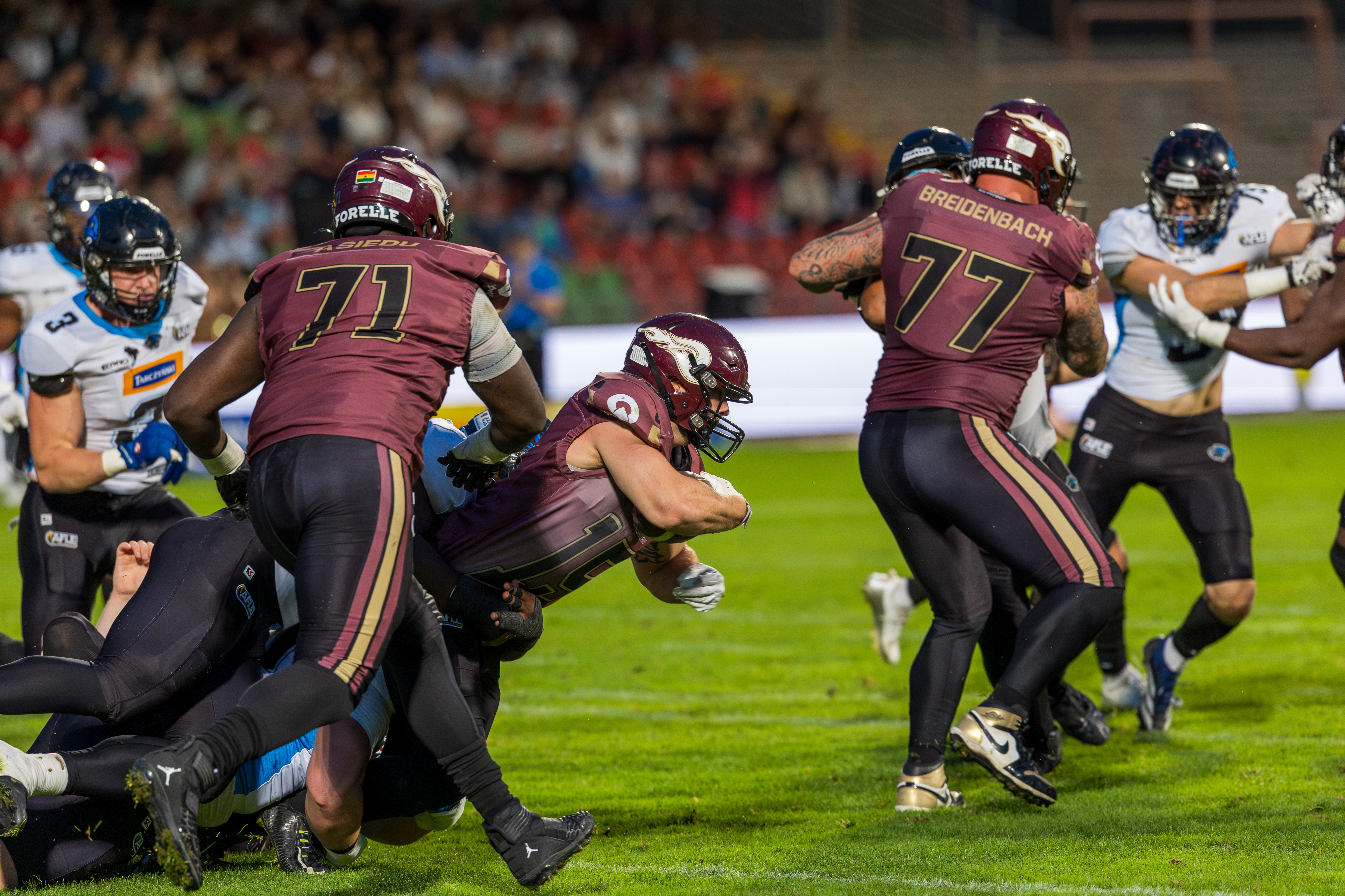 #15 Giacomo De Pauli (Running Back) – Rhein Fire jump