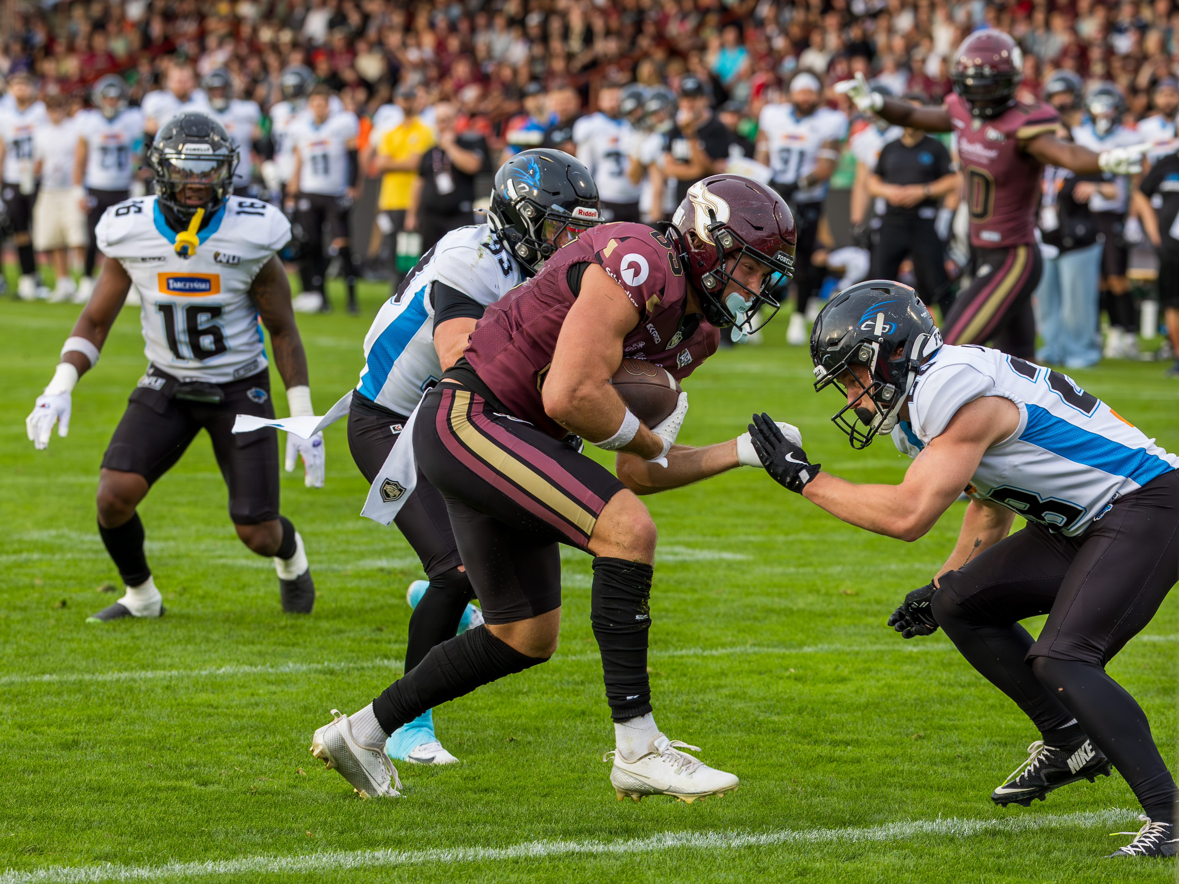 #28 Maciej Jabłoński (Cornerback) – Panthers Wroclaw wait for #85 Tim Sauerland (Tight End) – Rhein Fire