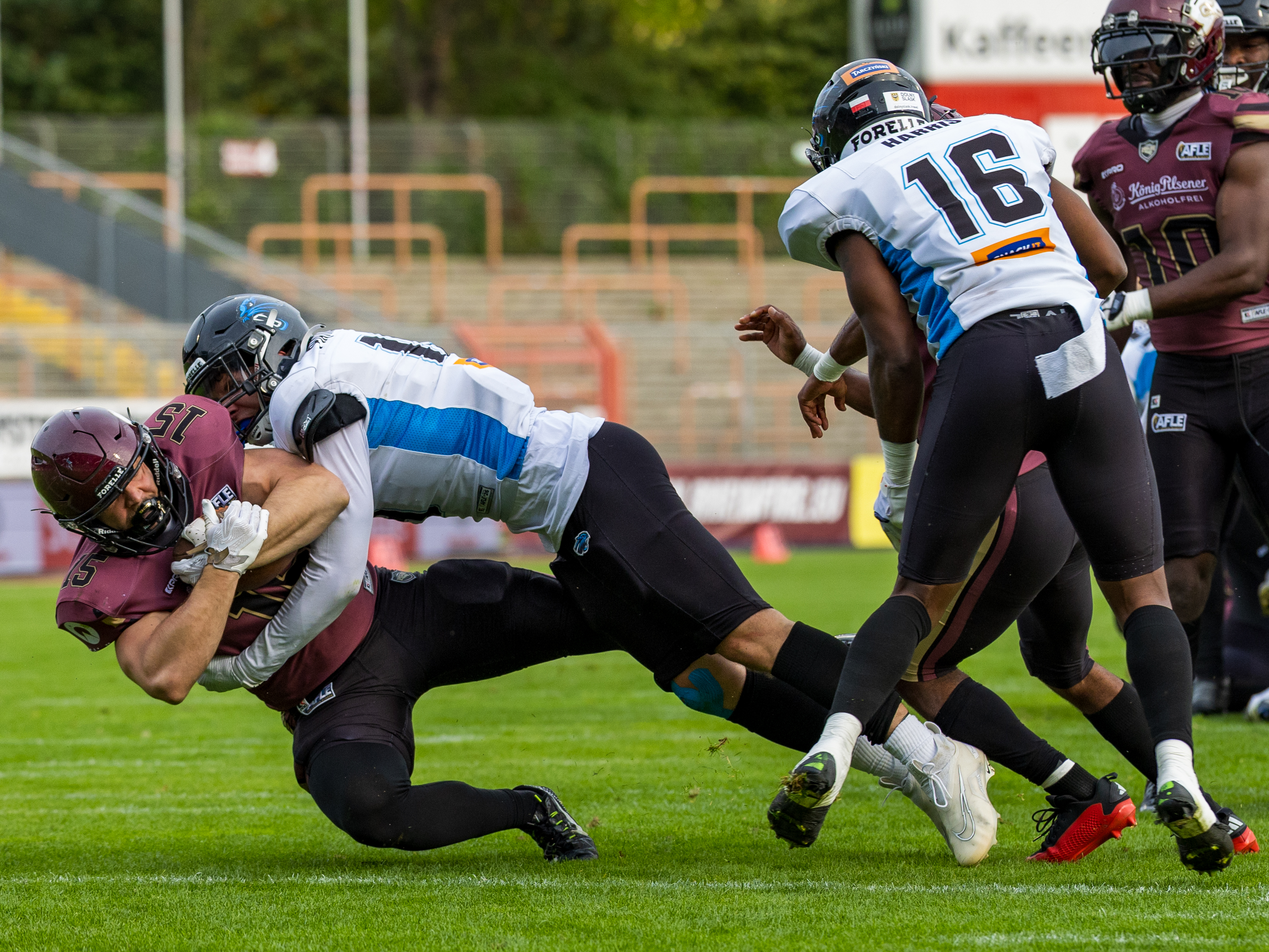Rhein Fire vs Alpine Rams, Panthers Wroclawl, American Football League Europe, Semi Final, 2026, 30.08.2026,