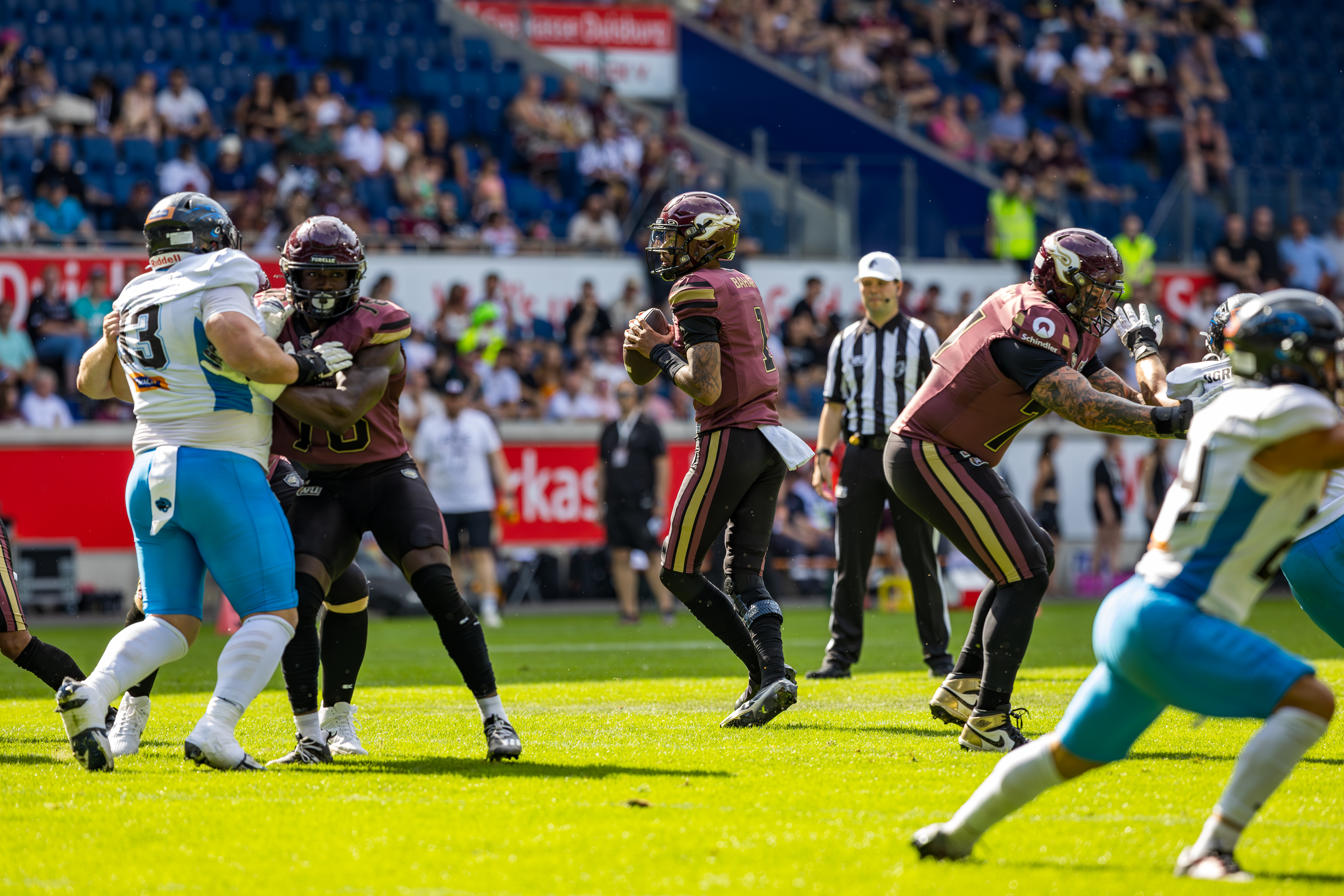 #1 Kenji Bahar (Quarterback) – Rhein Fire seach a target.