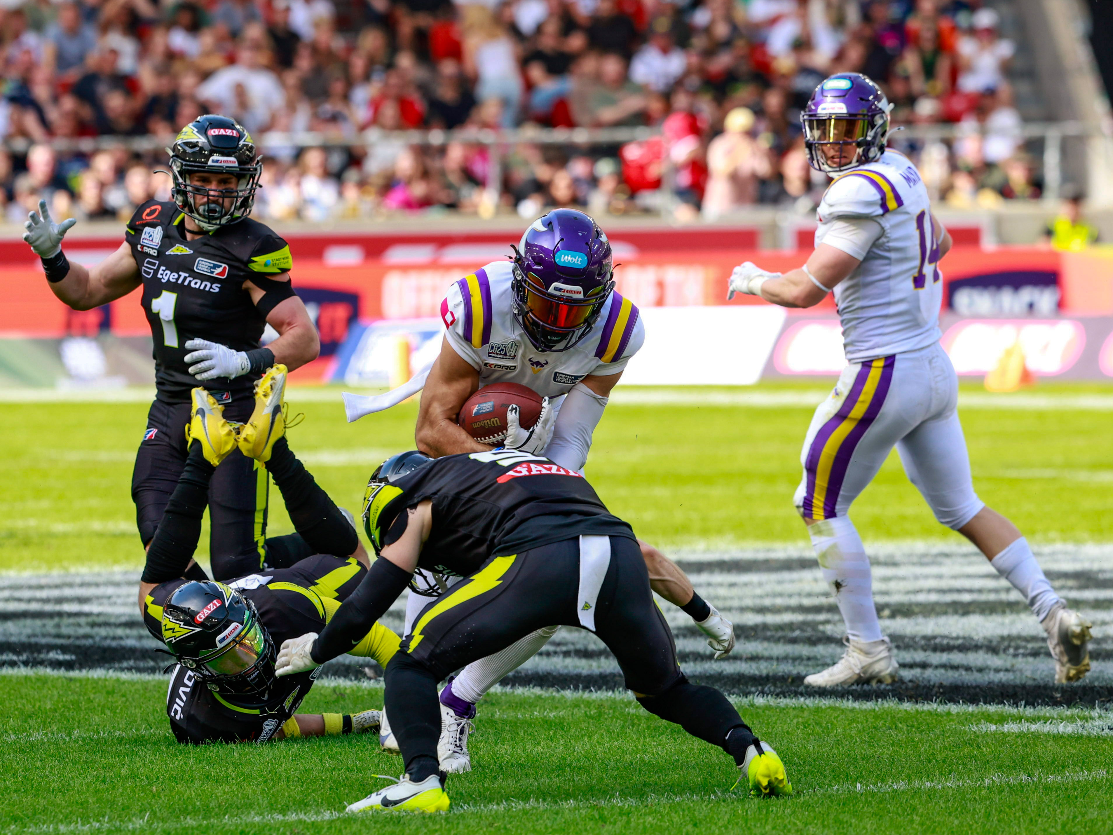ELF Stuttgart Surge vs Vienna Vikings Finale