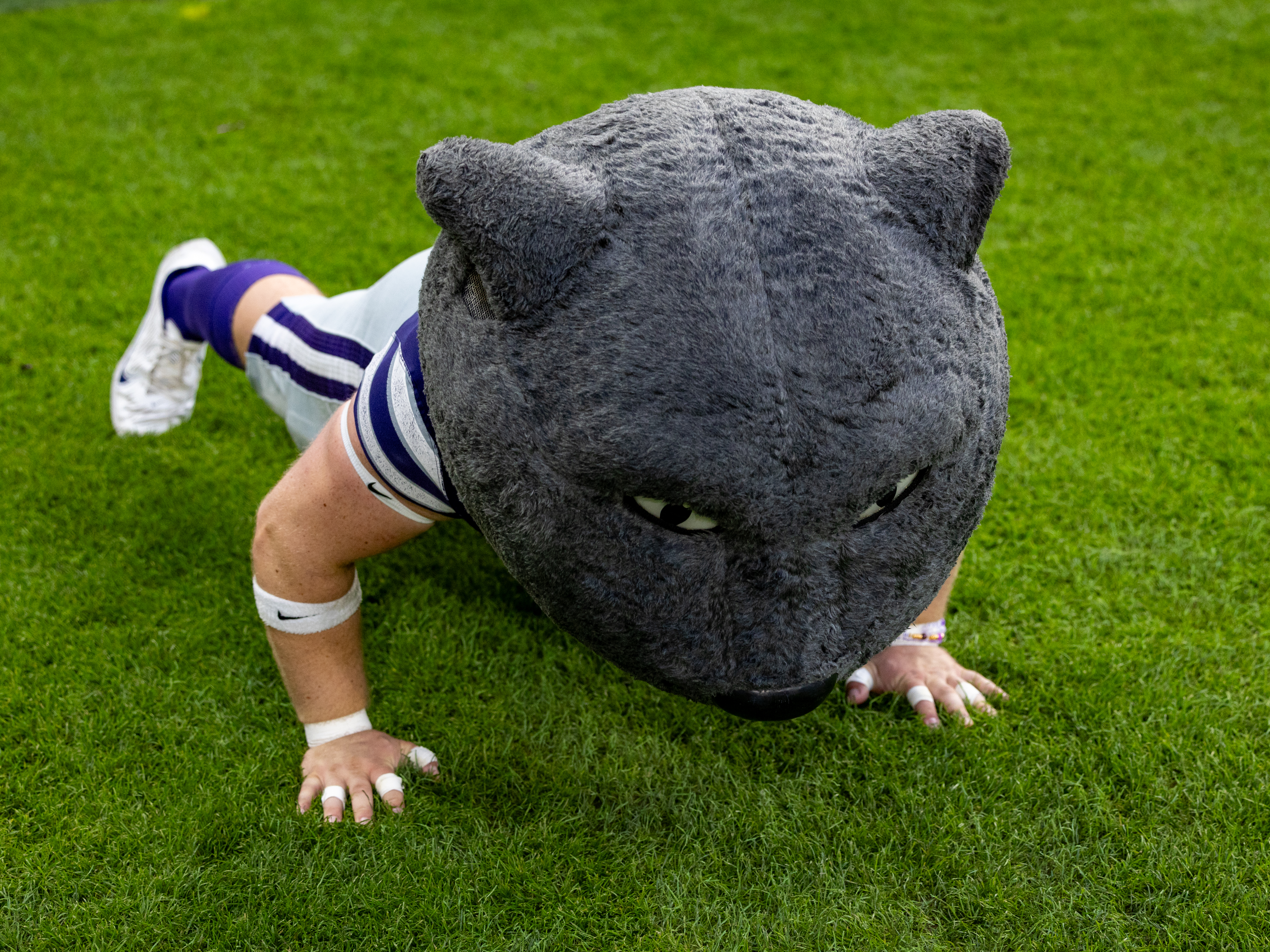 K-State Mascots Doing push-ups after the touchdown Iowa State vs K-State, American Football, NCAA College Football, Week 1, 2025, 23.08.2025,