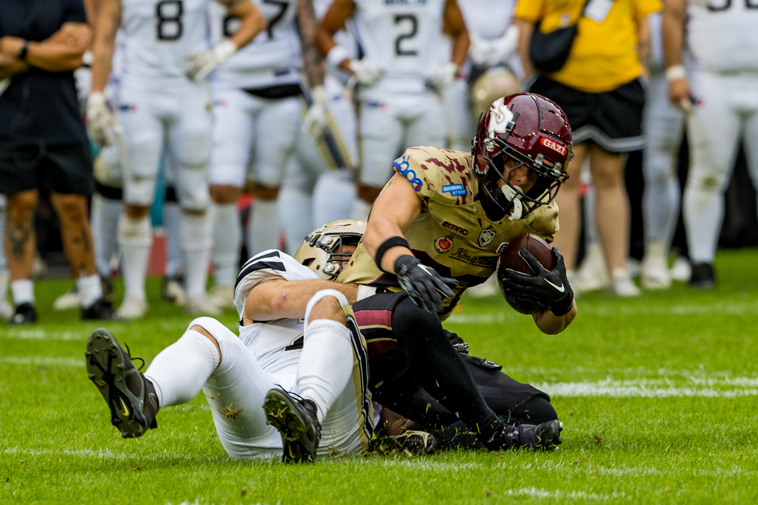 Berlin Thunder vs Rhein Fire Week 11