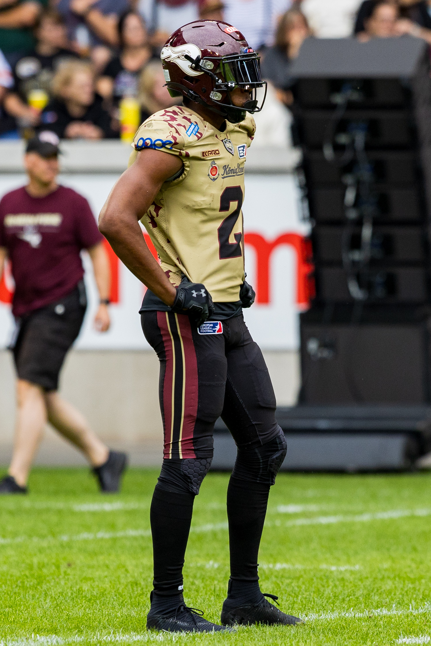 Berlin Thunder vs Rhein Fire Week 11