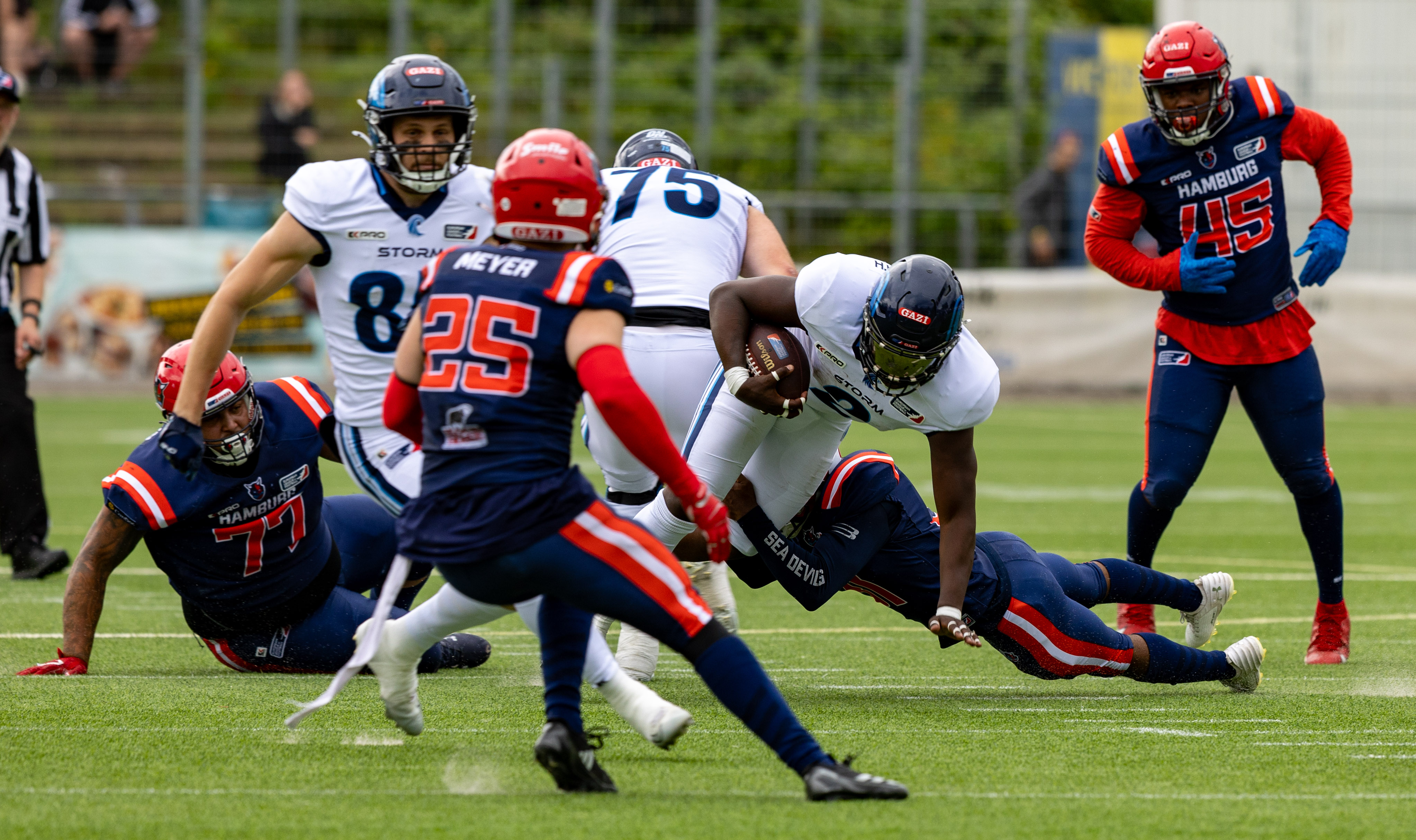 Week 8 Nordic Storm vs Hamburg Sea Devils