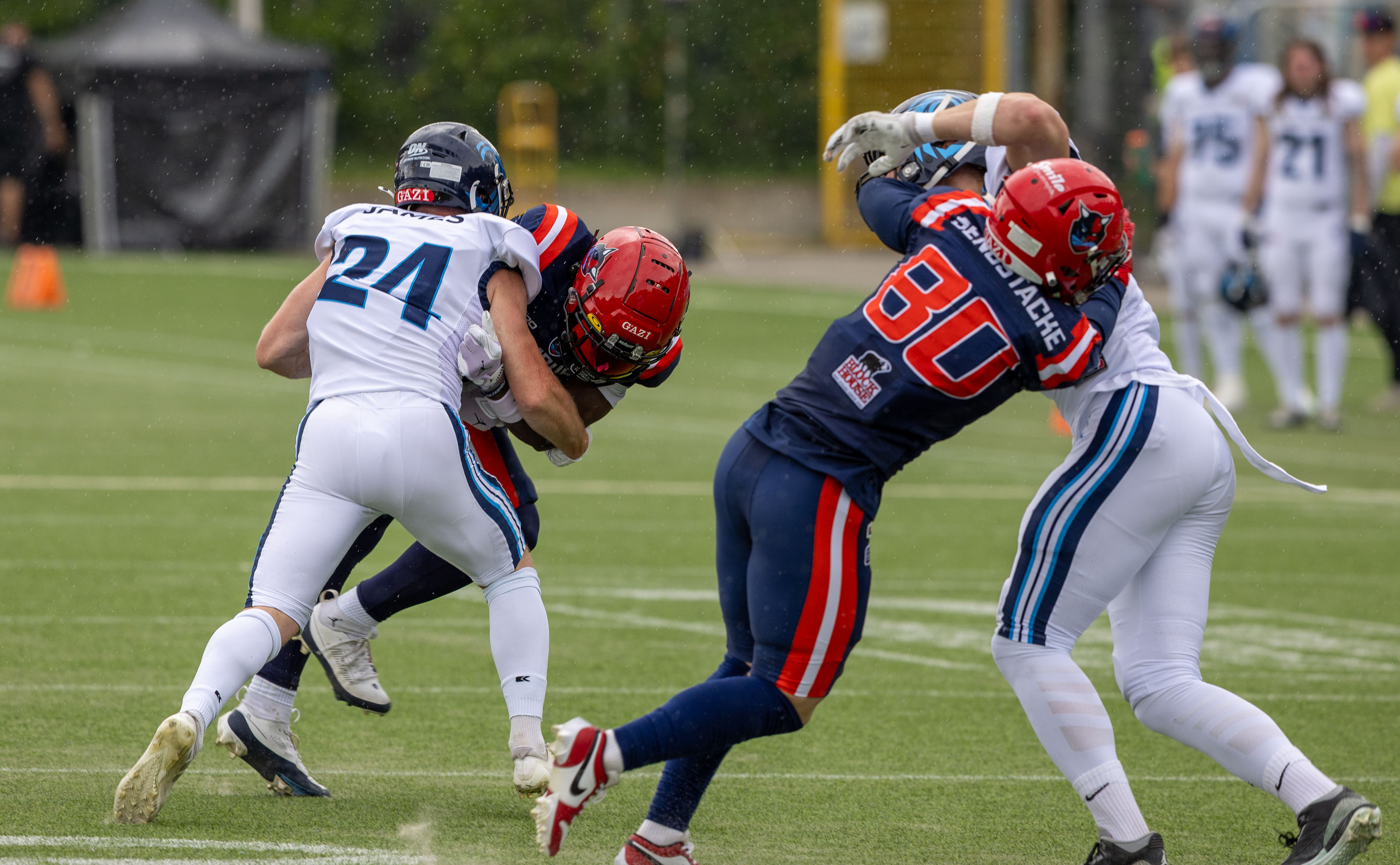 Week 8 Nordic Storm vs Hamburg Sea Devils
