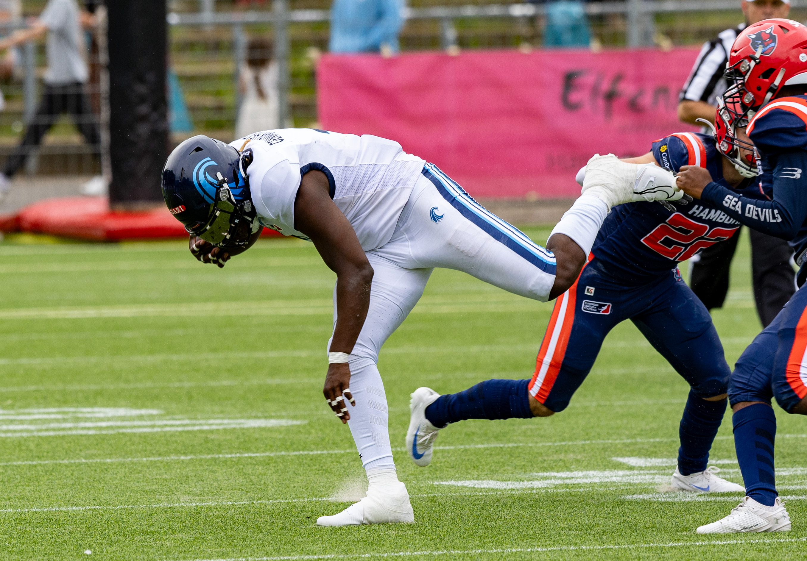 Week 8 Nordic Storm vs Hamburg Sea Devils