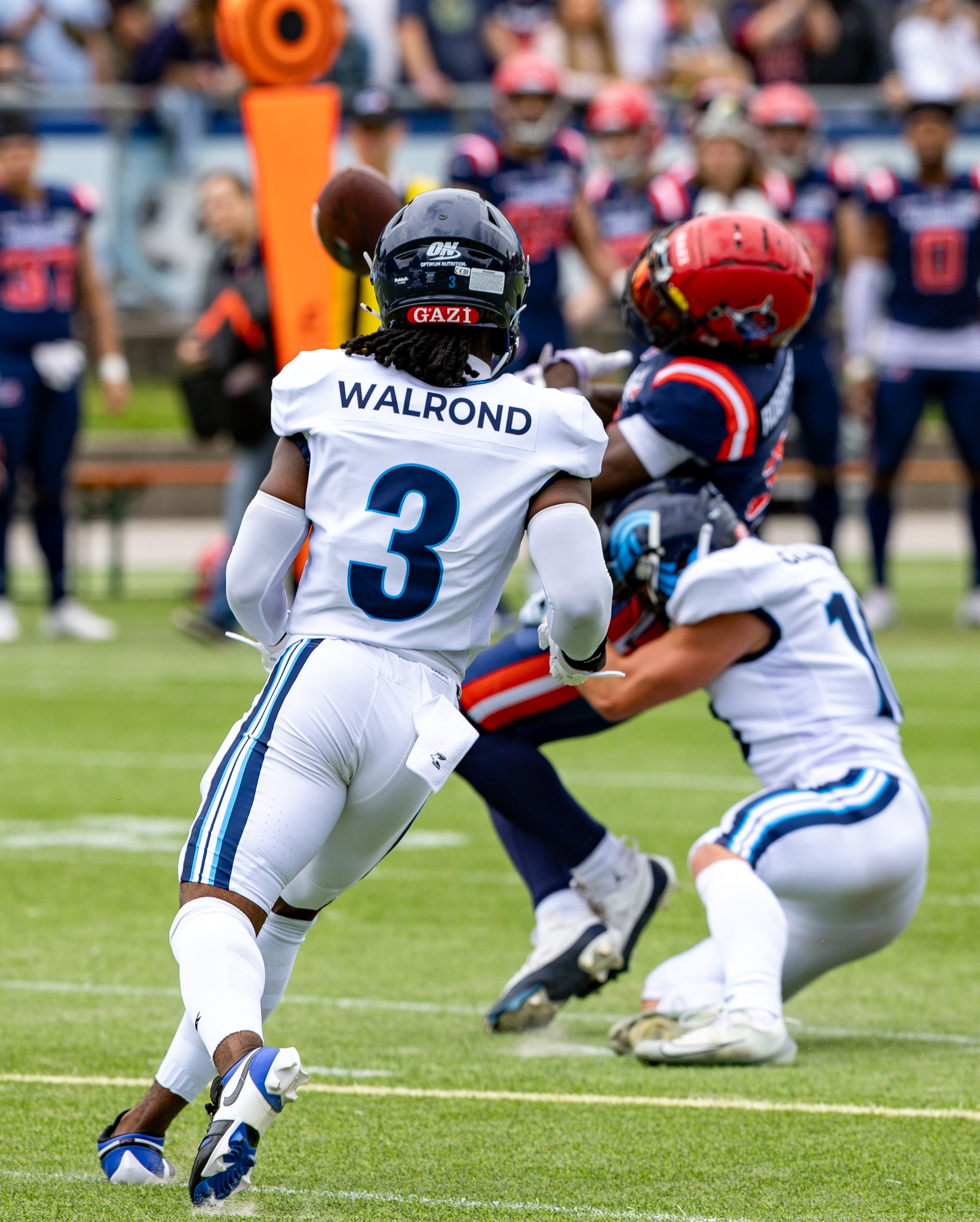 Week 8 Nordic Storm vs Hamburg Sea Devils