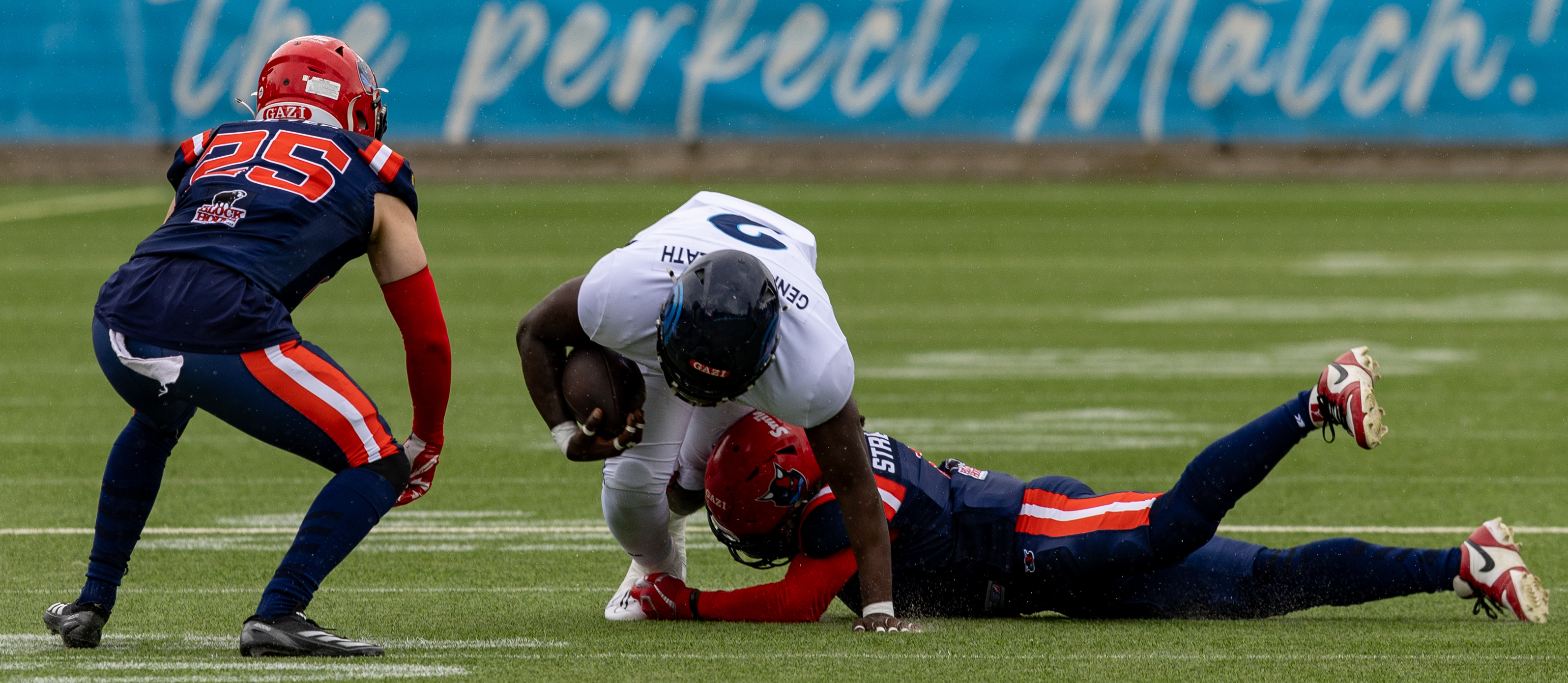 Week 8 Nordic Storm vs Hamburg Sea Devils