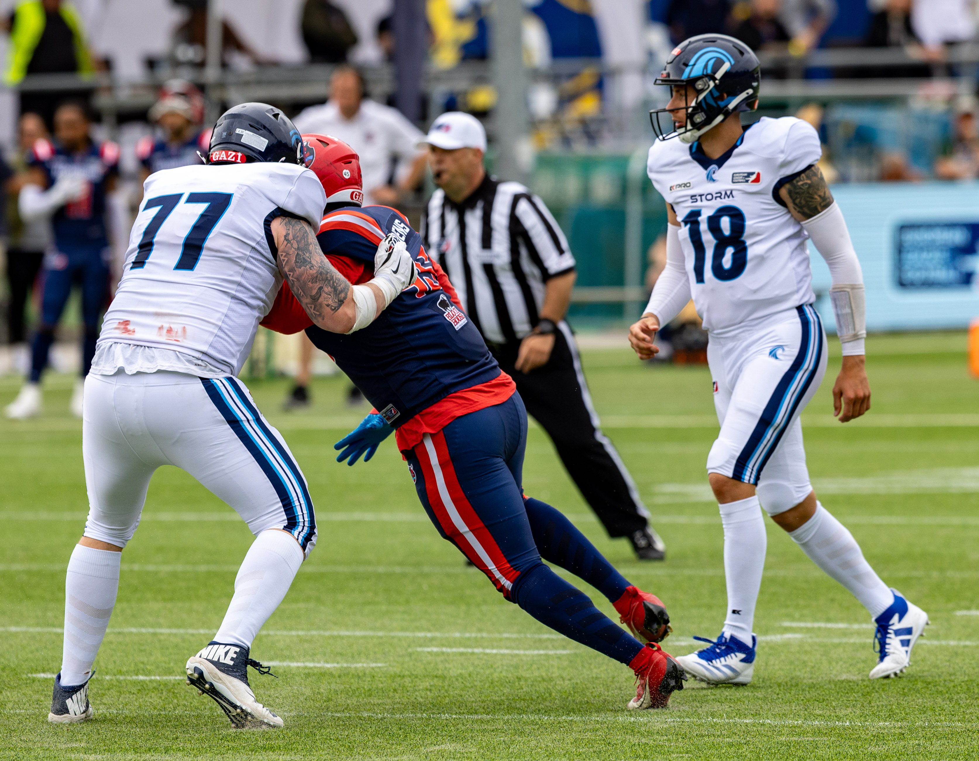 Week 8 Nordic Storm vs Hamburg Sea Devils