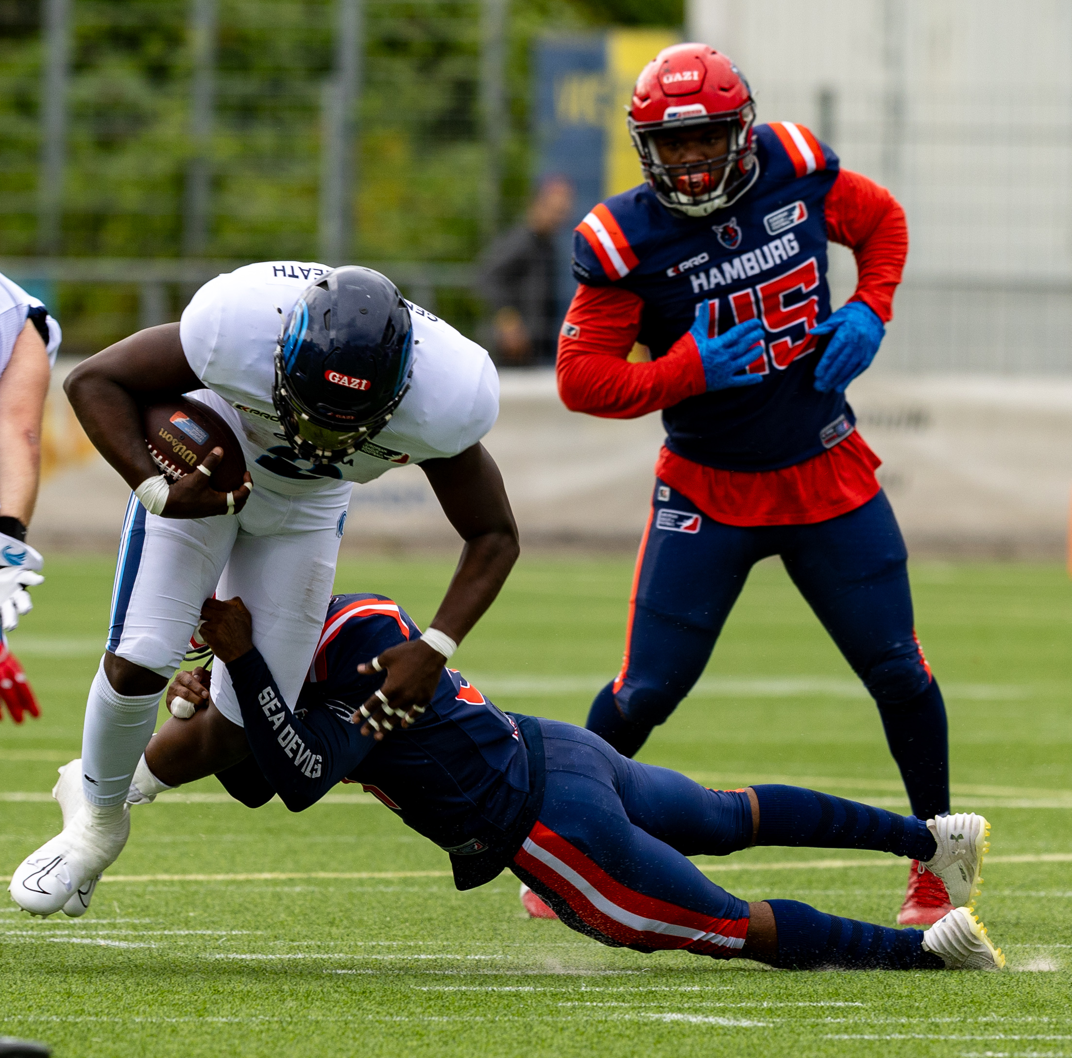 Week 8 Nordic Storm vs Hamburg Sea Devils