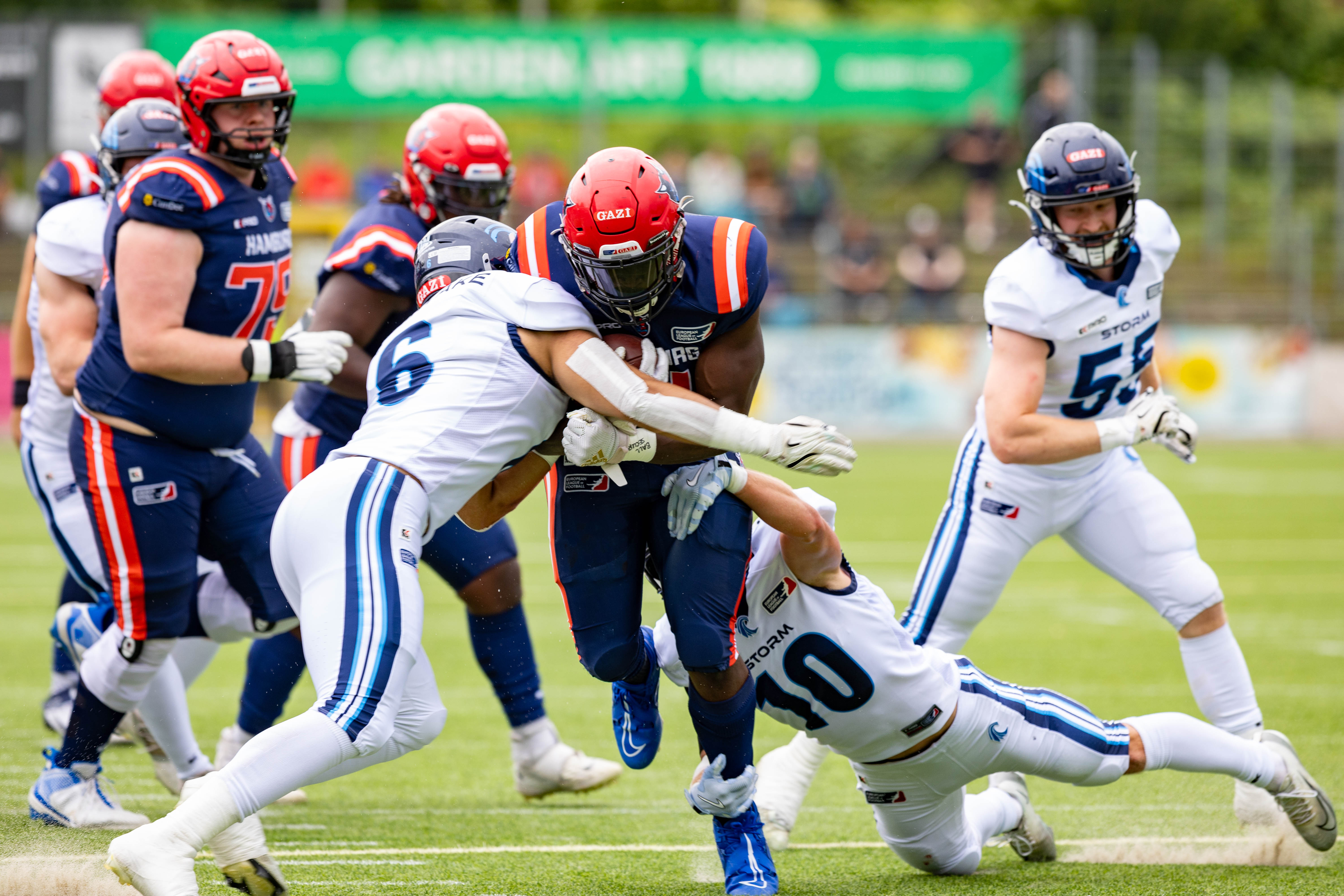 Week 8 Nordic Storm vs Hamburg Sea Devils