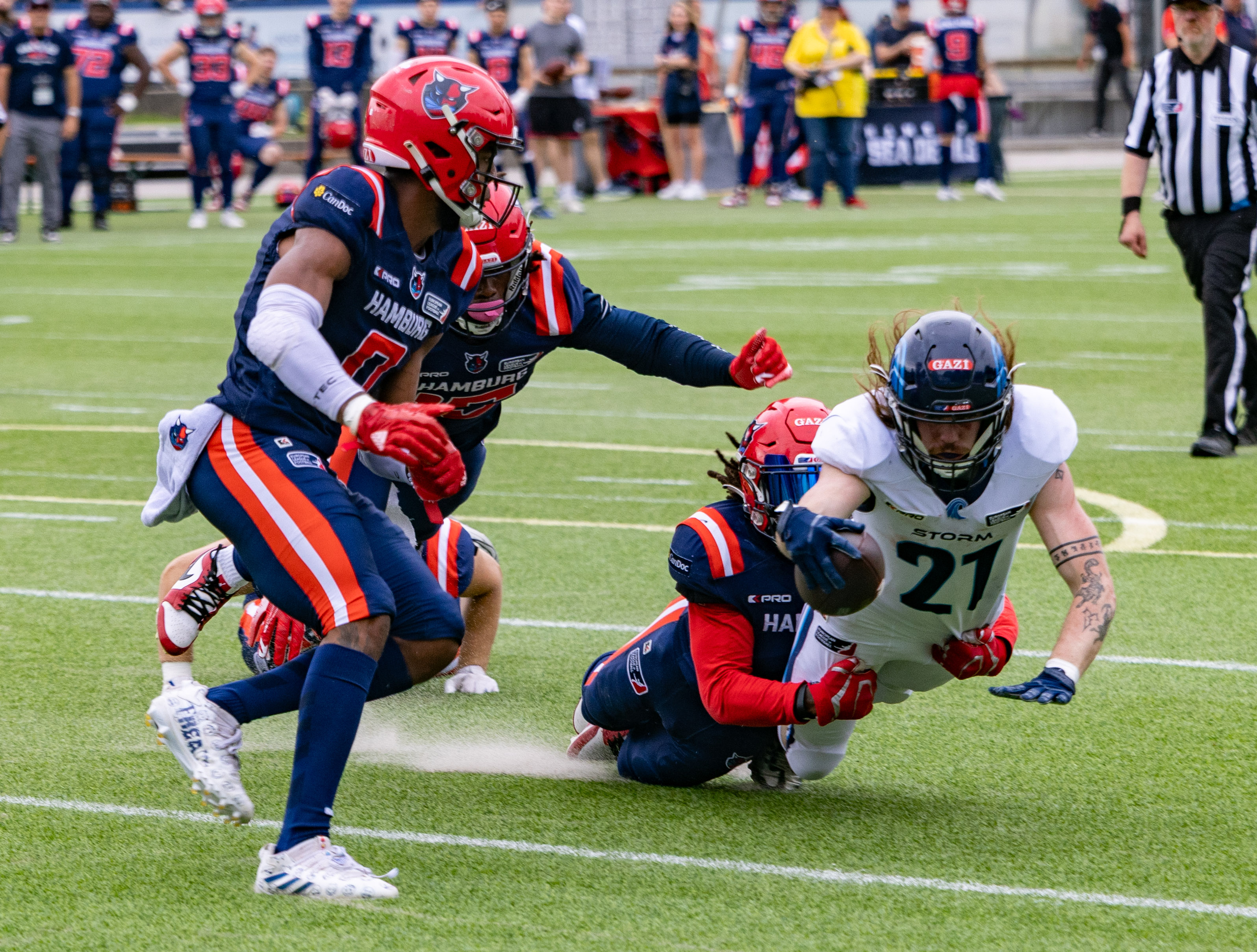 Week 8 Nordic Storm vs Hamburg Sea Devils