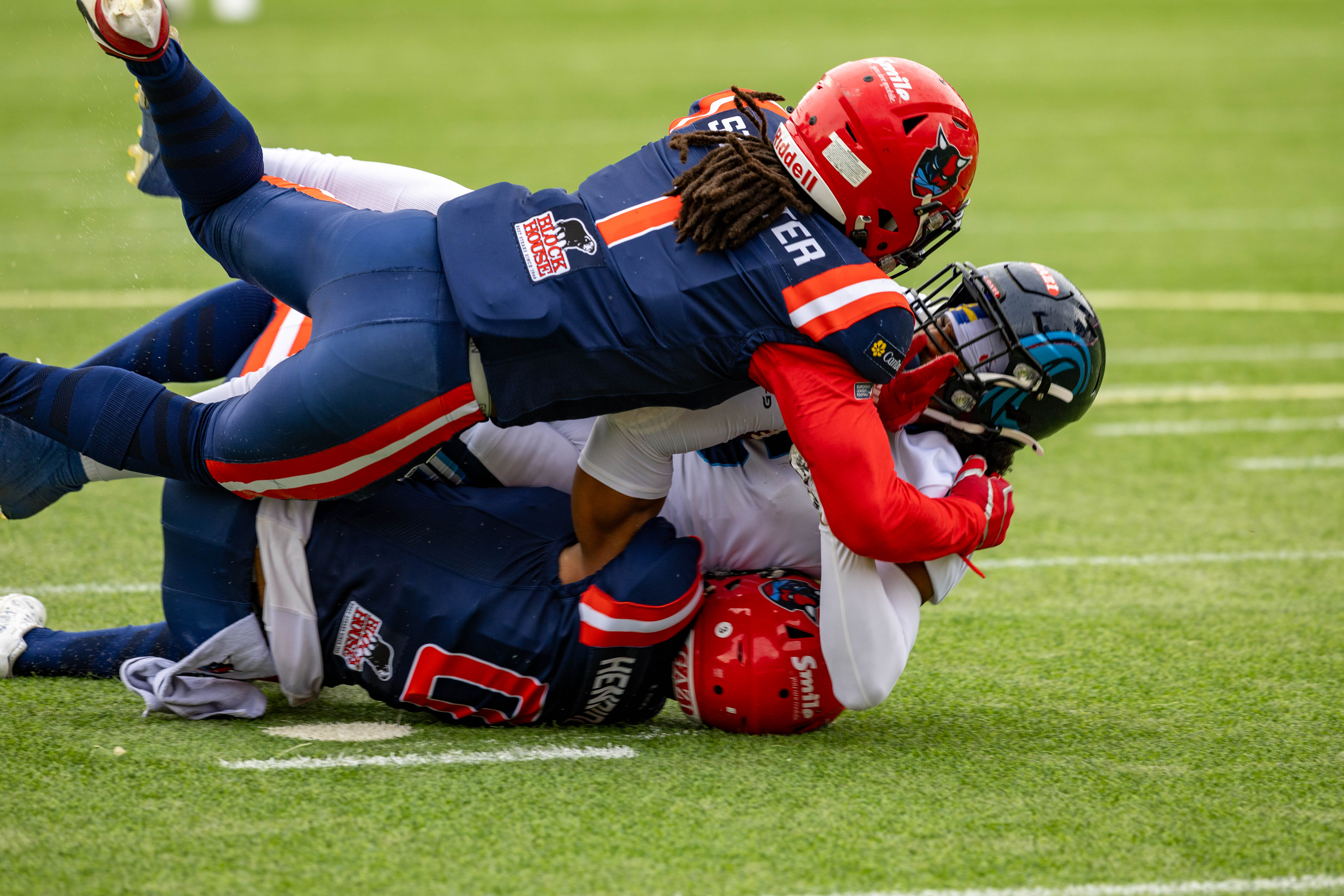 Week 8 Nordic Storm vs Hamburg Sea Devils