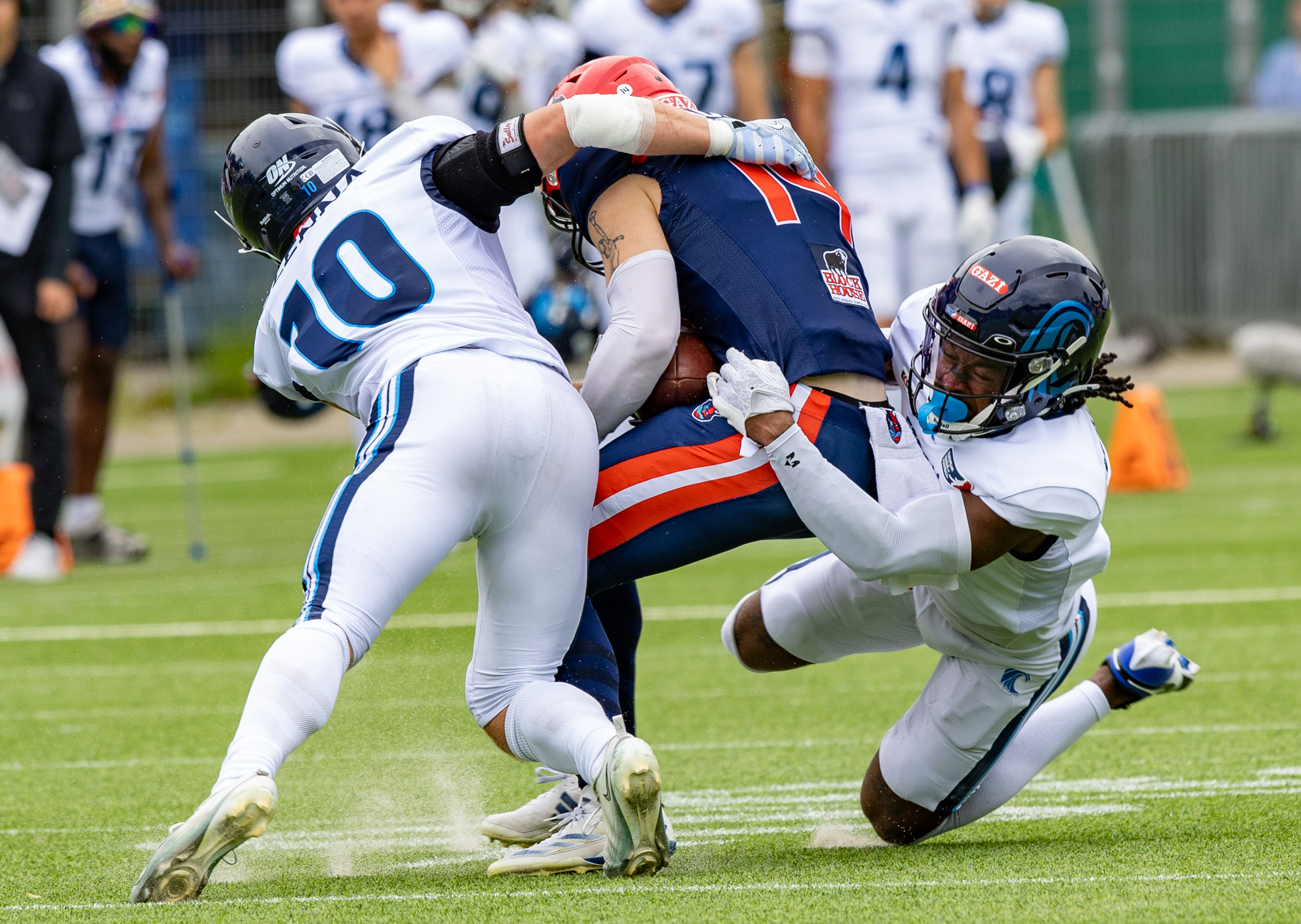 Week 8 Nordic Storm vs Hamburg Sea Devils