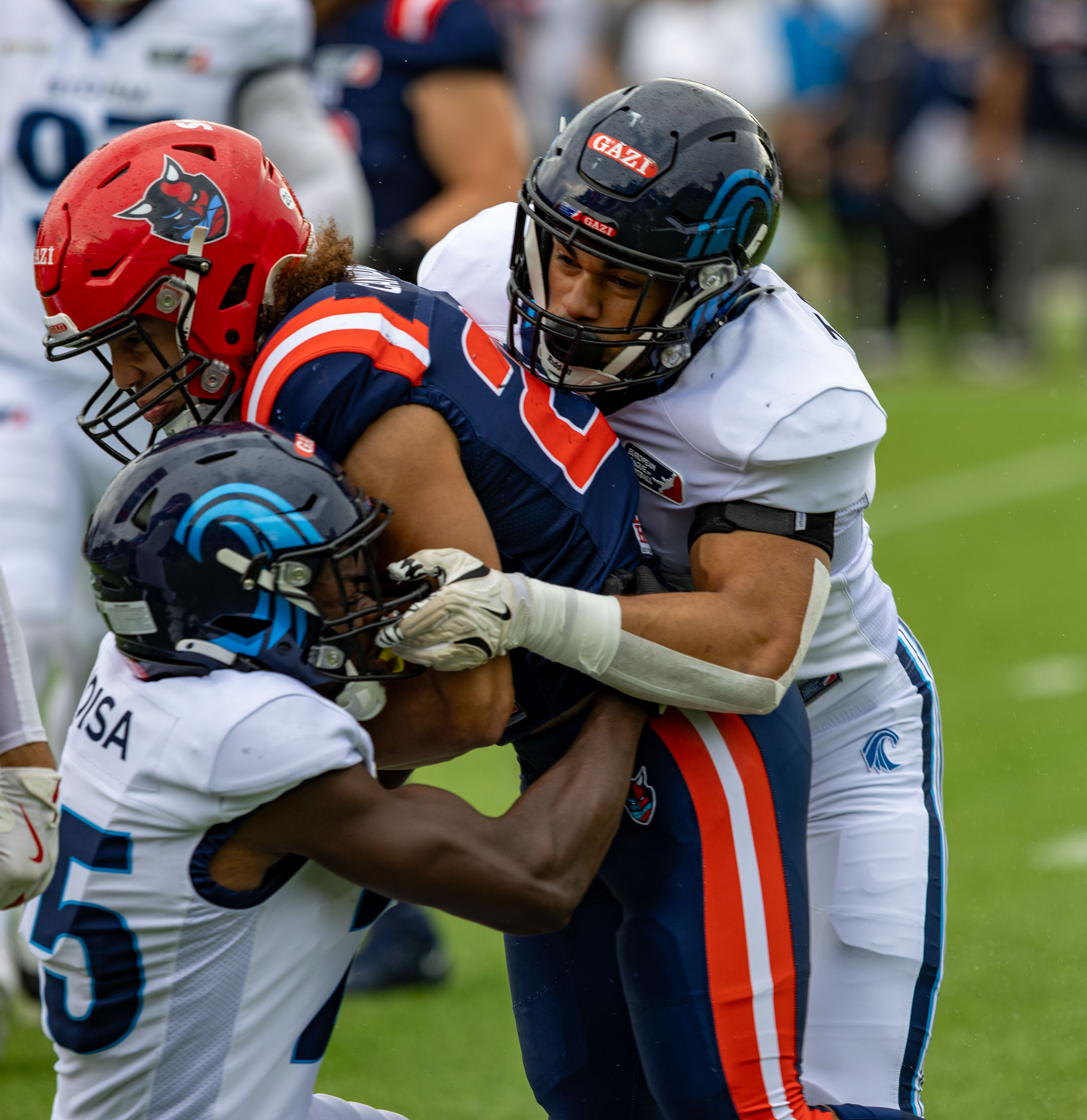 Week 8 Nordic Storm vs Hamburg Sea Devils