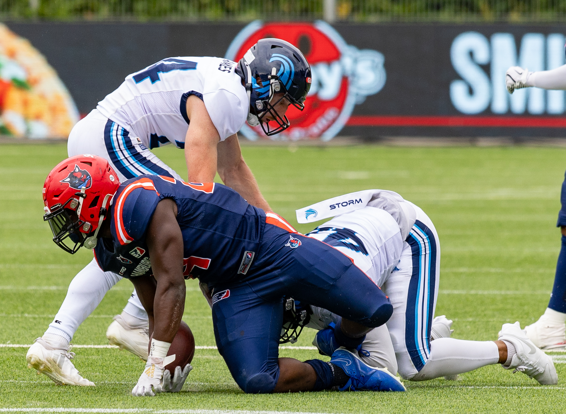 Week 8 Nordic Storm vs Hamburg Sea Devils