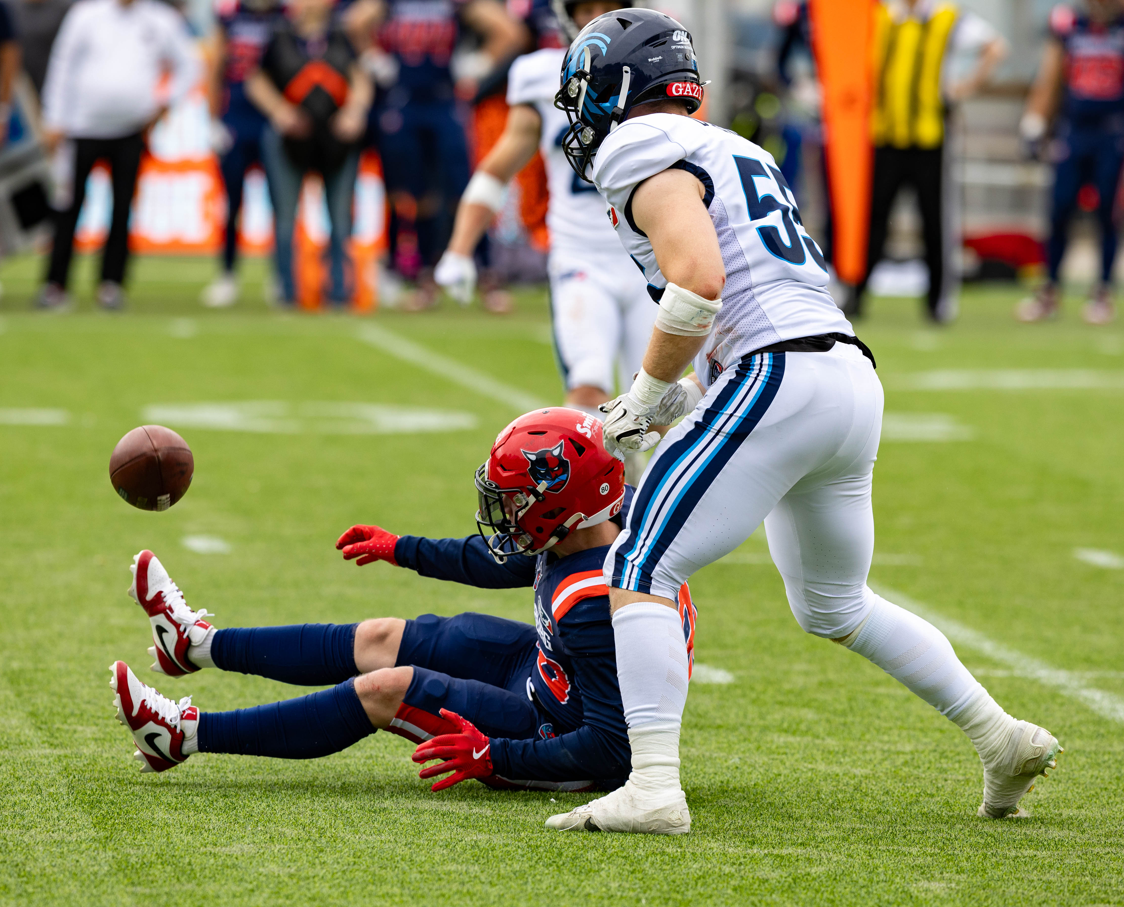 Week 8 Nordic Storm vs Hamburg Sea Devils