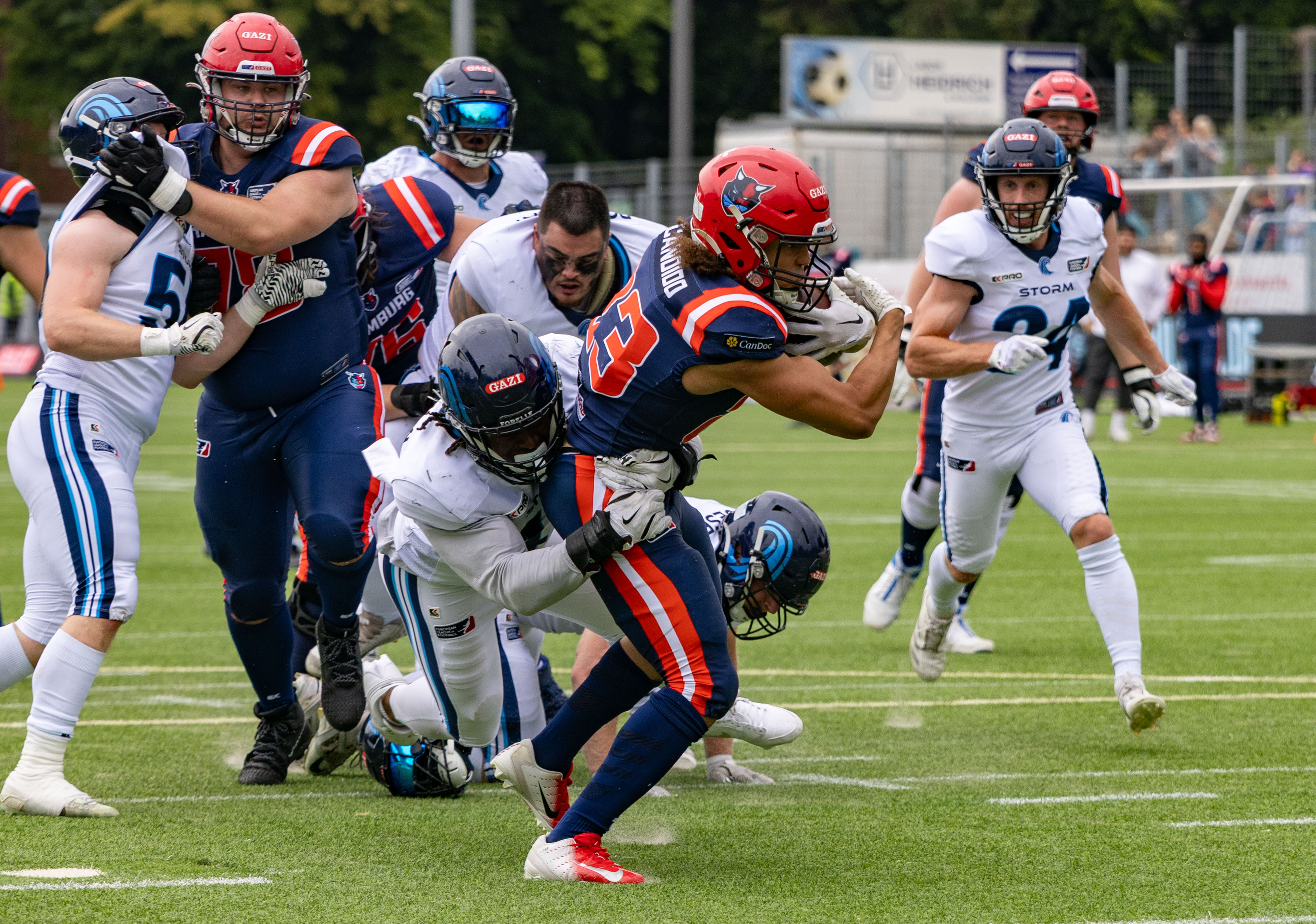 Week 8 Nordic Storm vs Hamburg Sea Devils