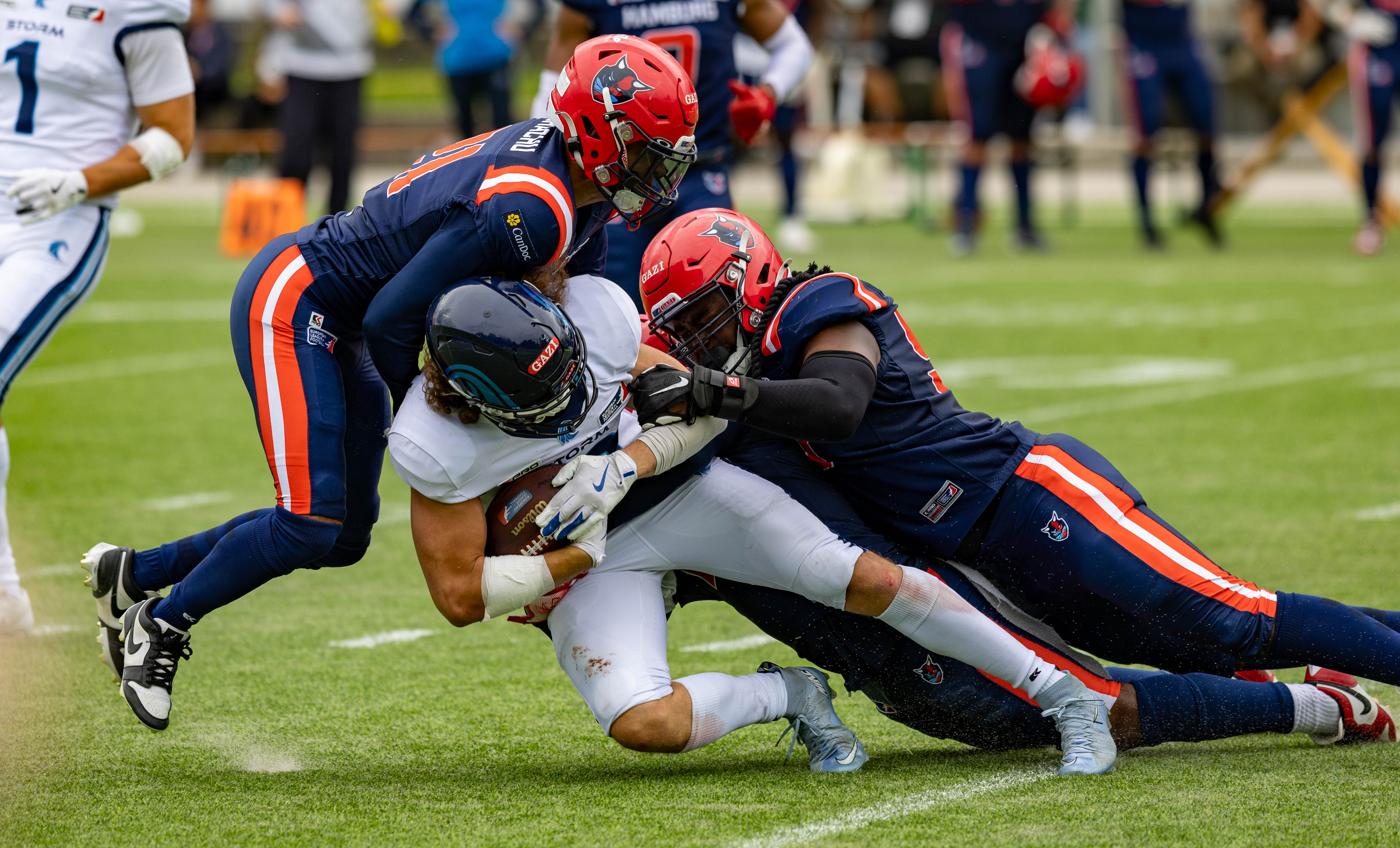 Week 8 Nordic Storm vs Hamburg Sea Devils