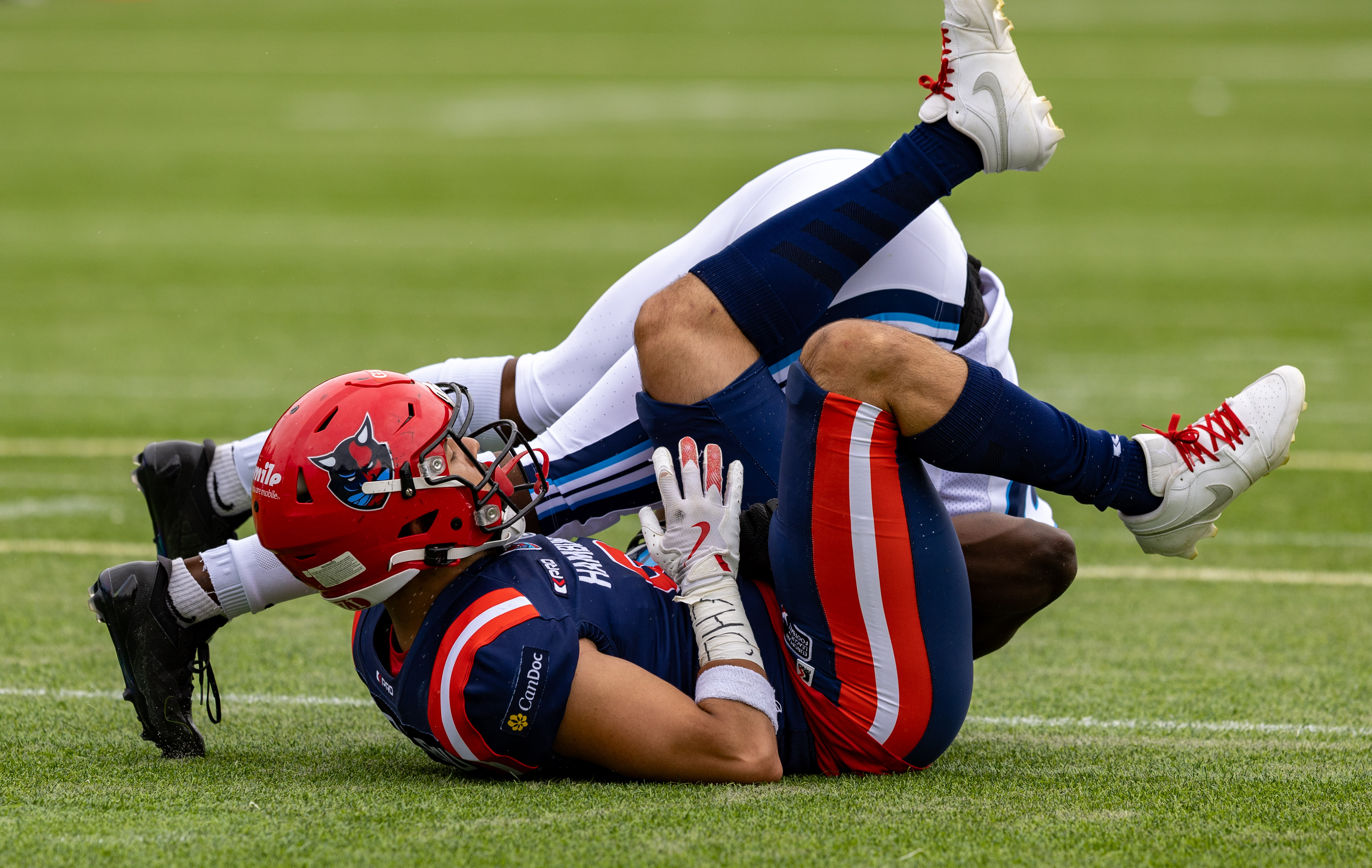 Week 8 Nordic Storm vs Hamburg Sea Devils