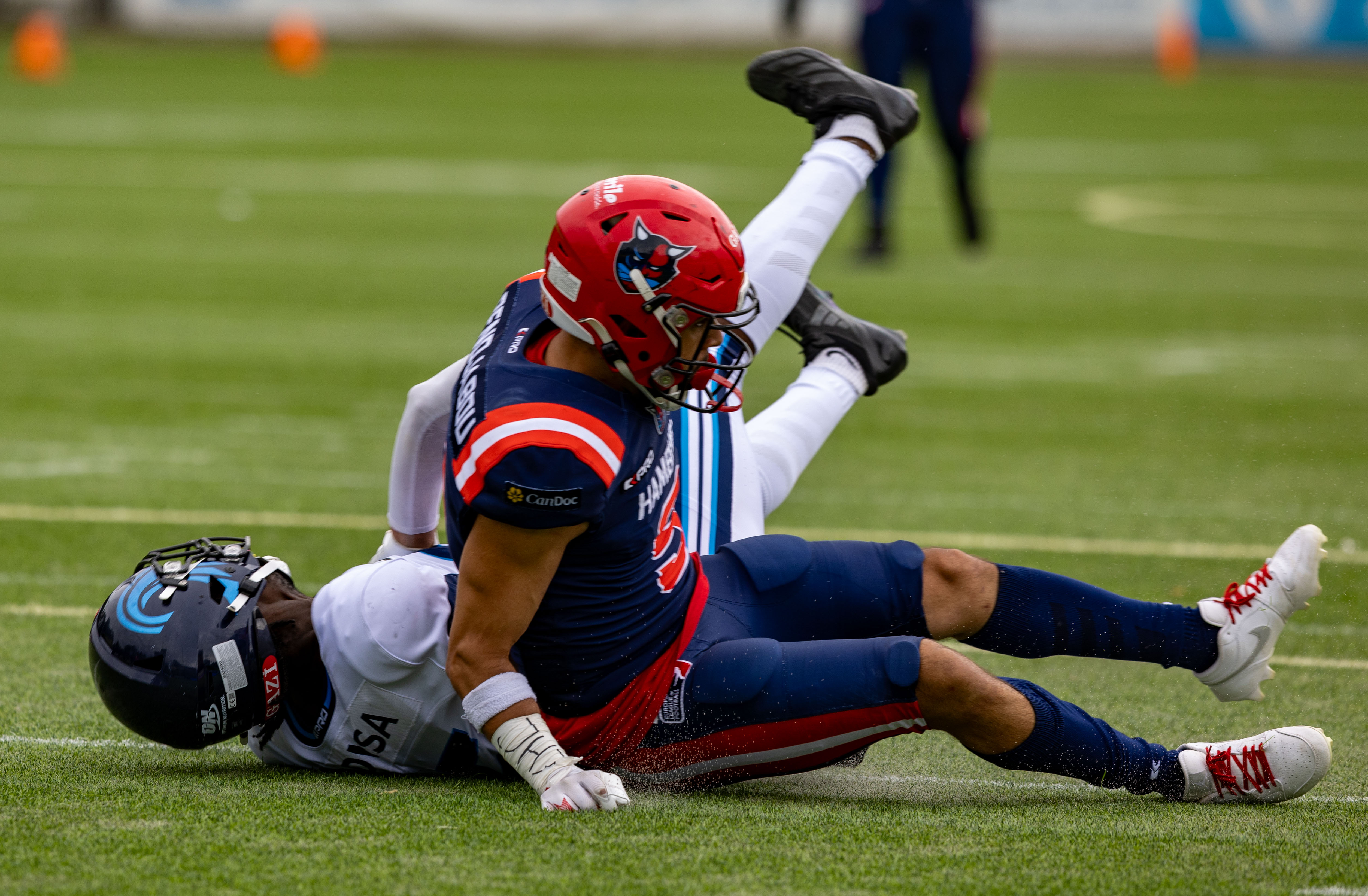 Week 8 Nordic Storm vs Hamburg Sea Devils