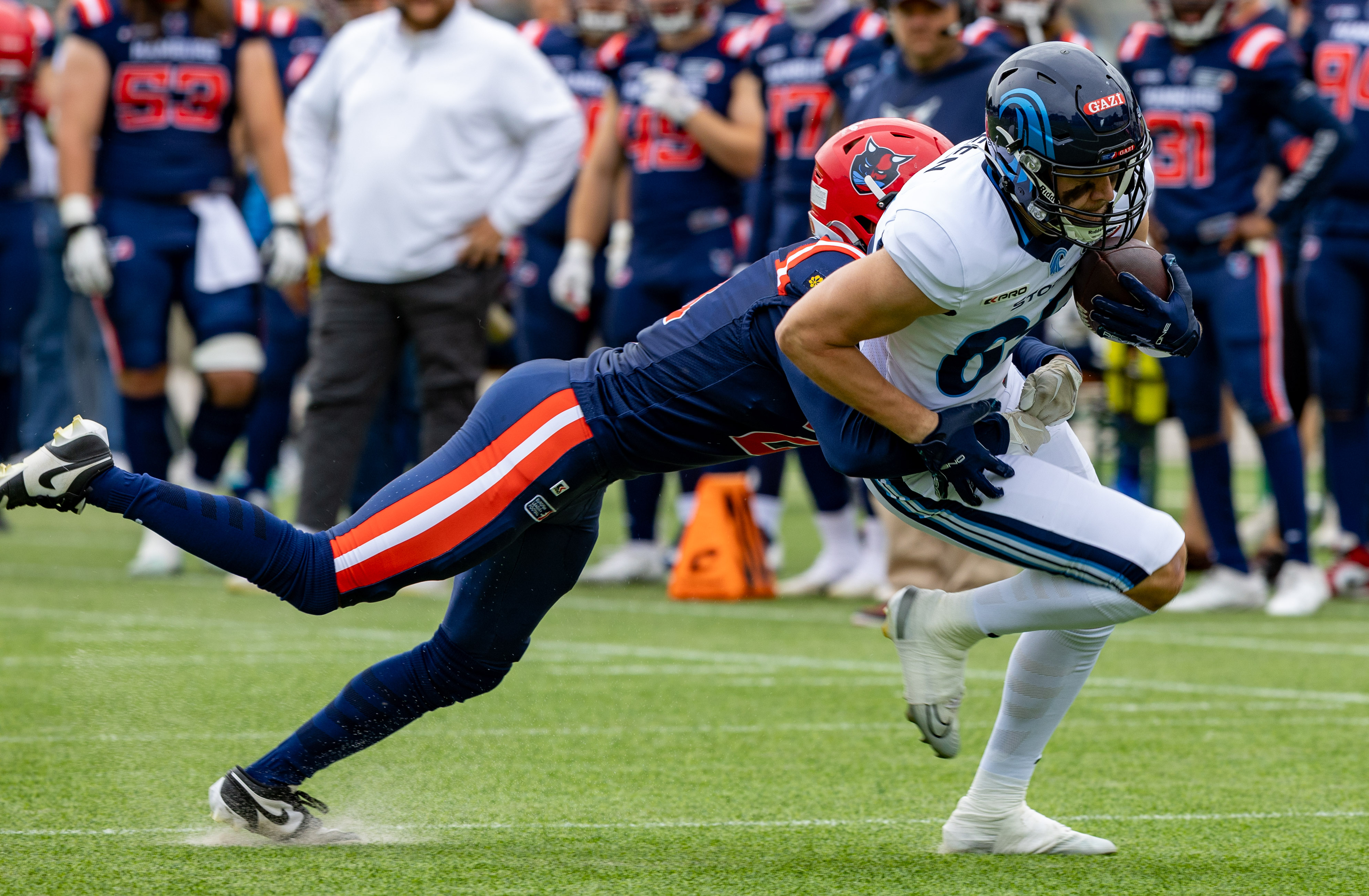 Week 8 Nordic Storm vs Hamburg Sea Devils