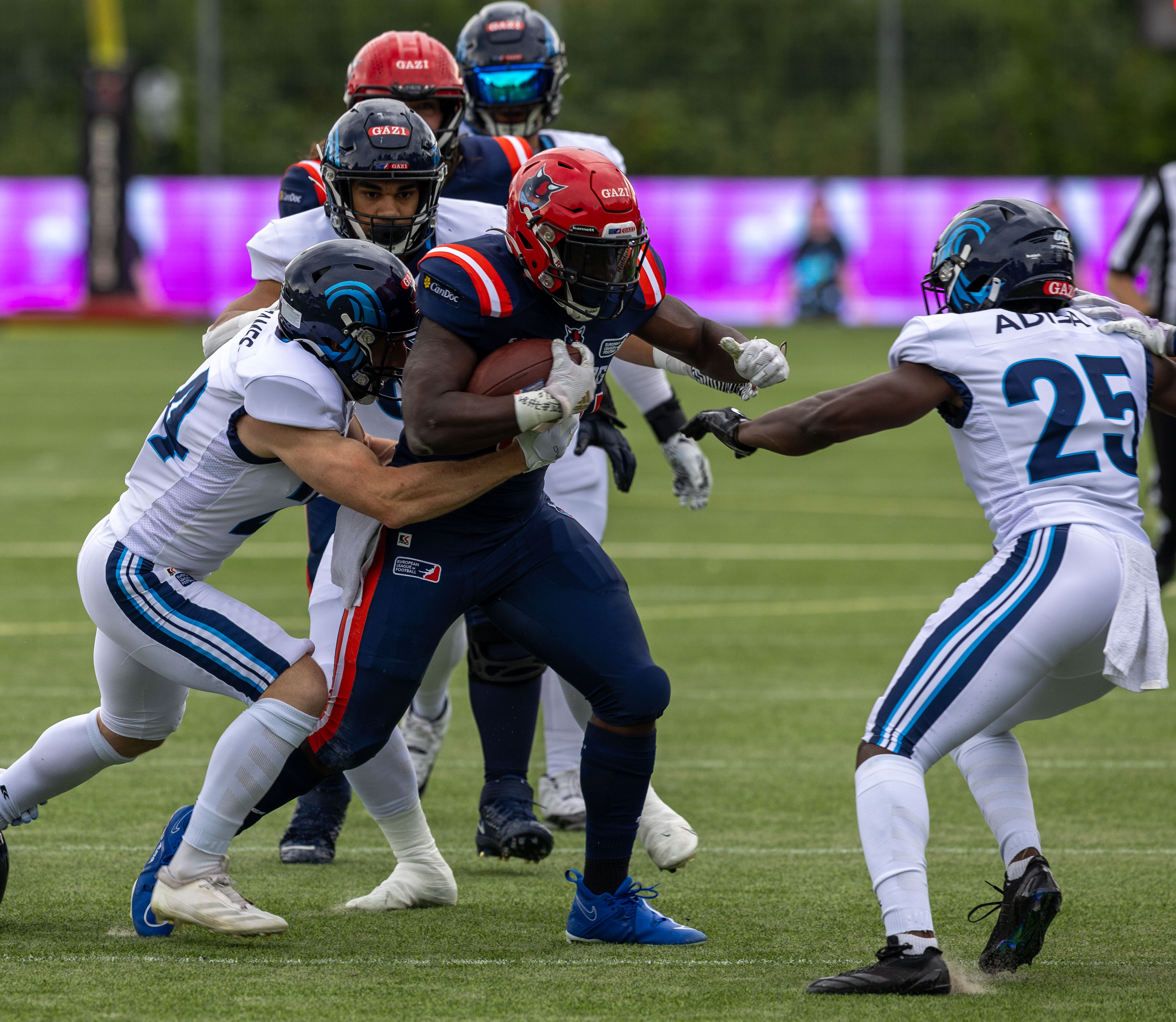 Week 8 Nordic Storm vs Hamburg Sea Devils