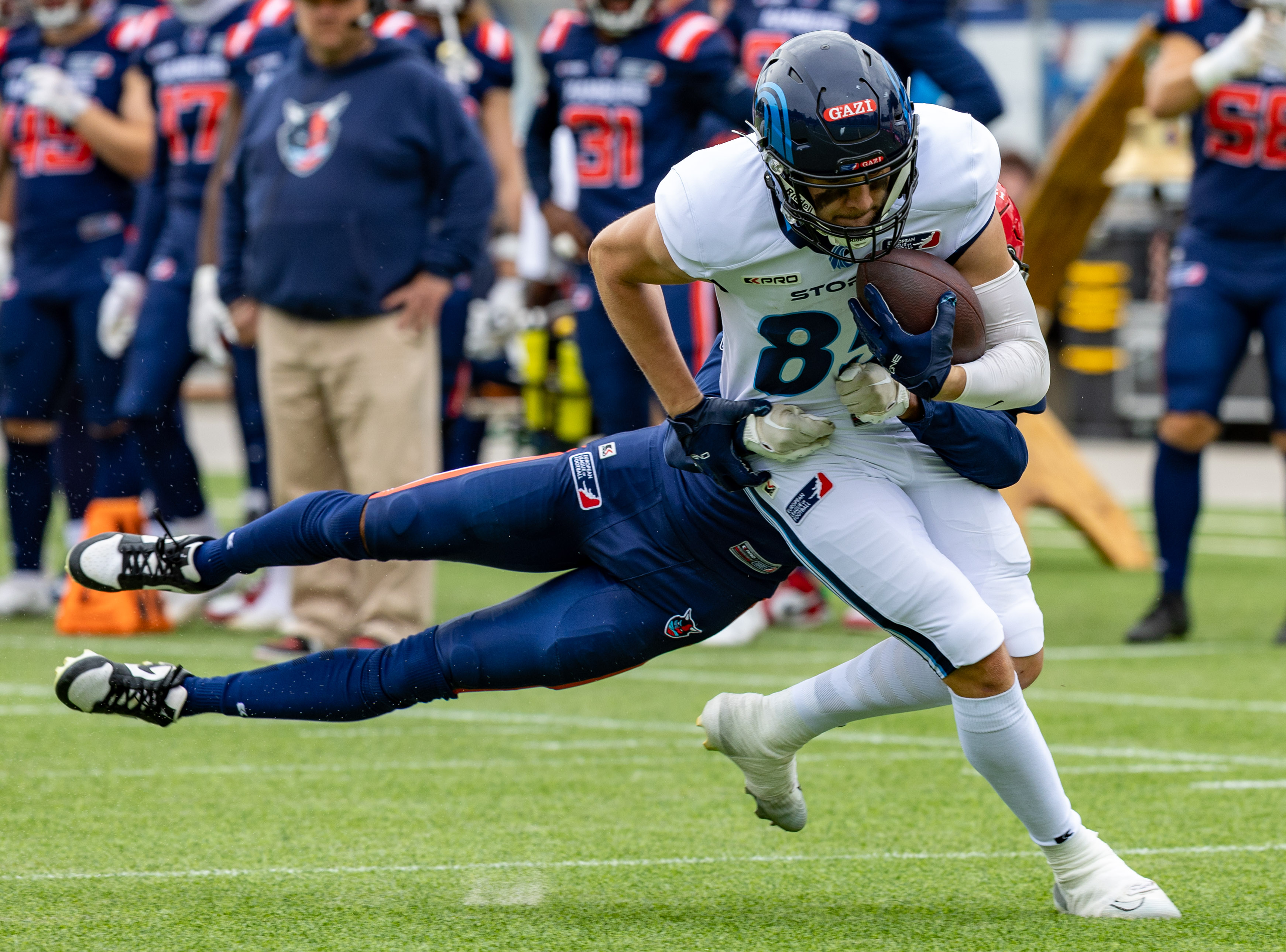 Week 8 Nordic Storm vs Hamburg Sea Devils