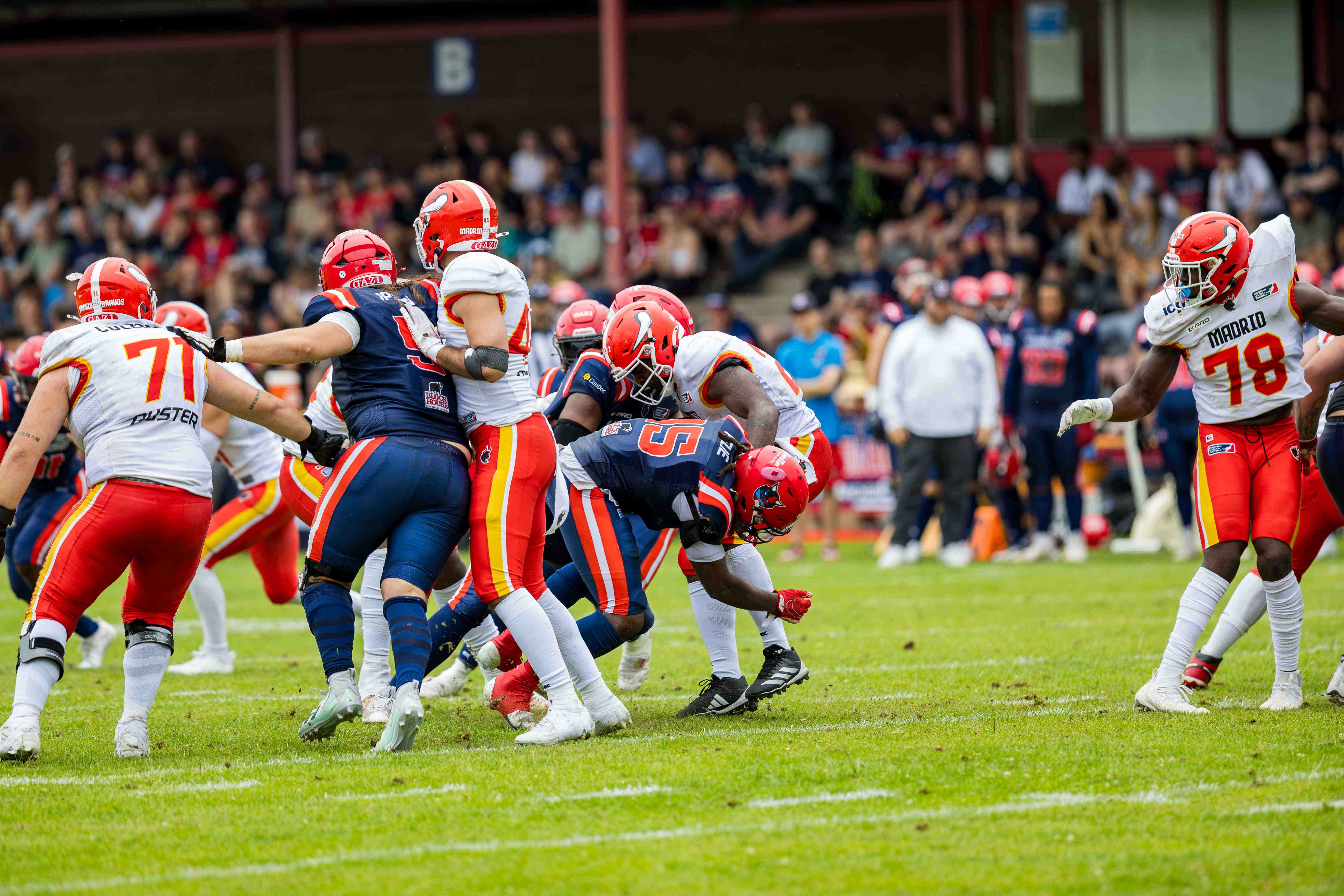 Madrid Bravos vs Hamburg Sea Devils
