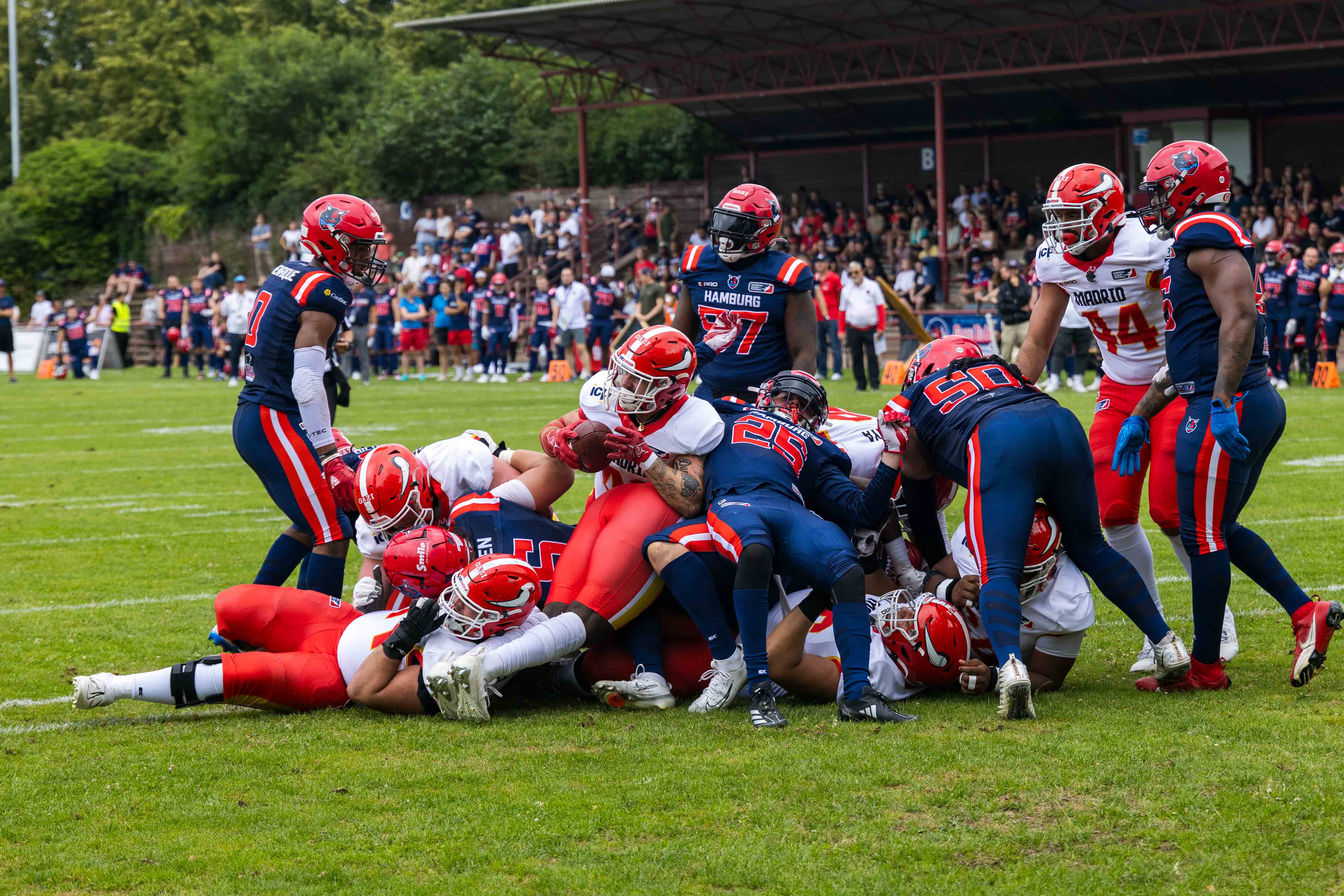 Madrid Bravos vs Hamburg Sea Devils